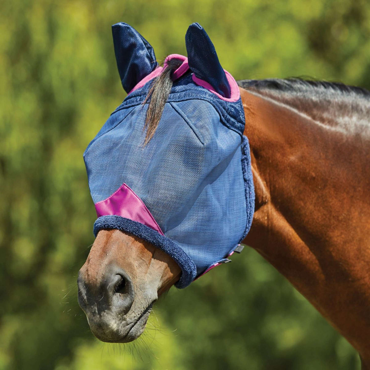 Weatherbeeta Fly Mask Comfitec Deluxe Durable Mesh with Ears Navy/purple