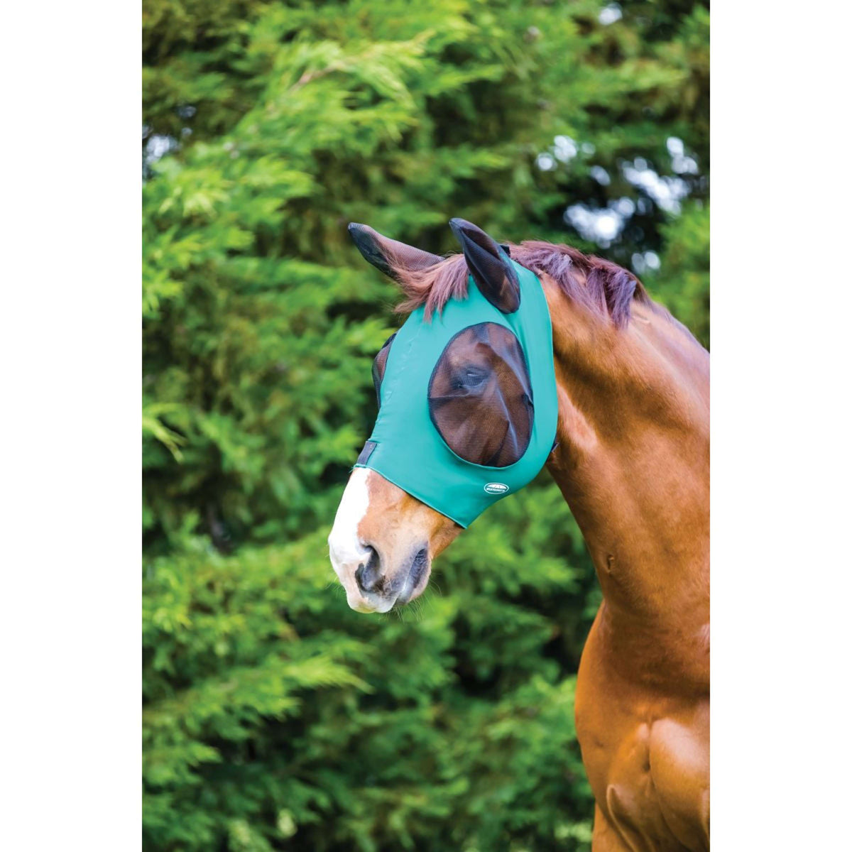 Weatherbeeta Fly Mask Deluxe Stretch Bug with Ears Hunter/Black