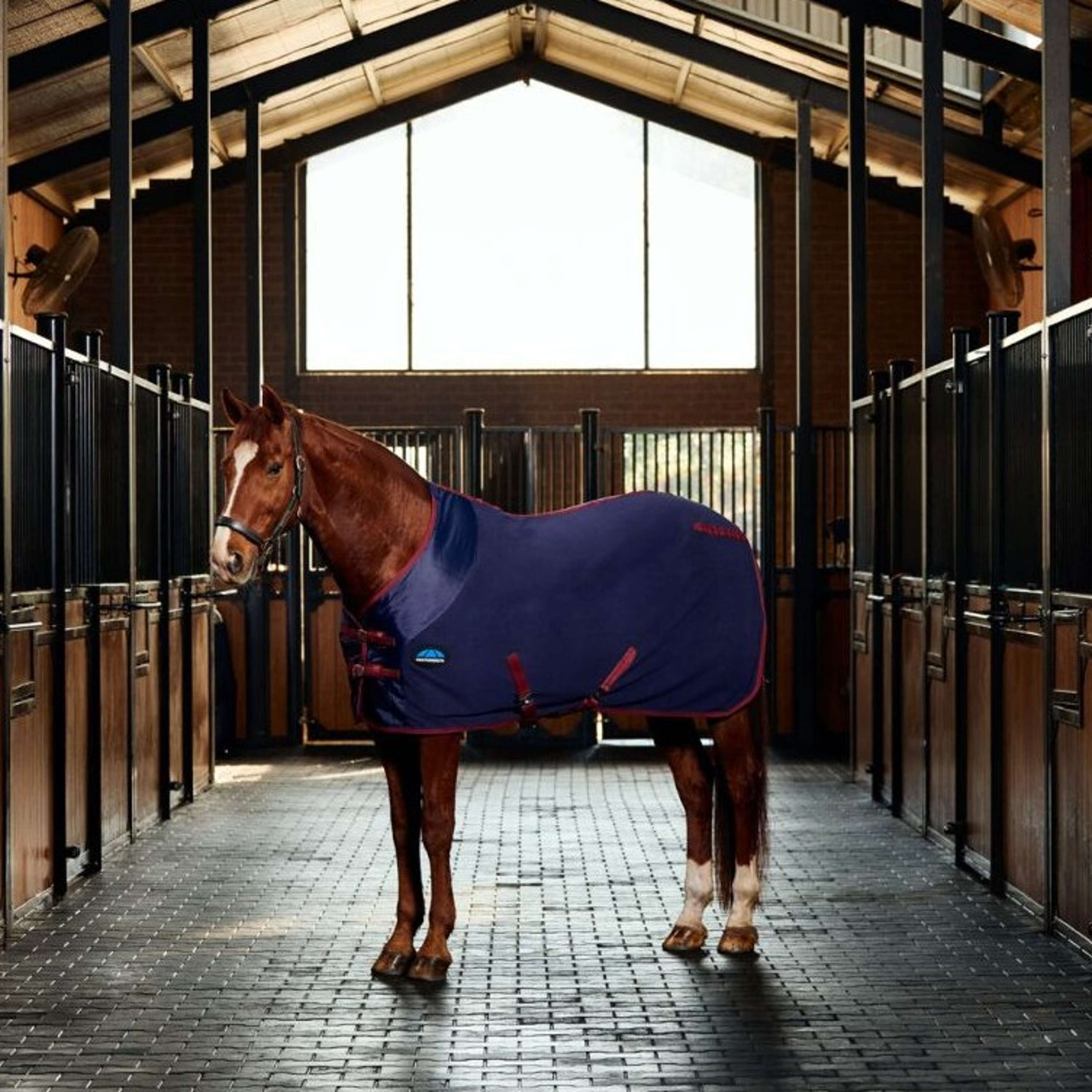 WeatherBeeta Fleece Rug Anti-Static Cooler Standard Neck Navy/Burgundy