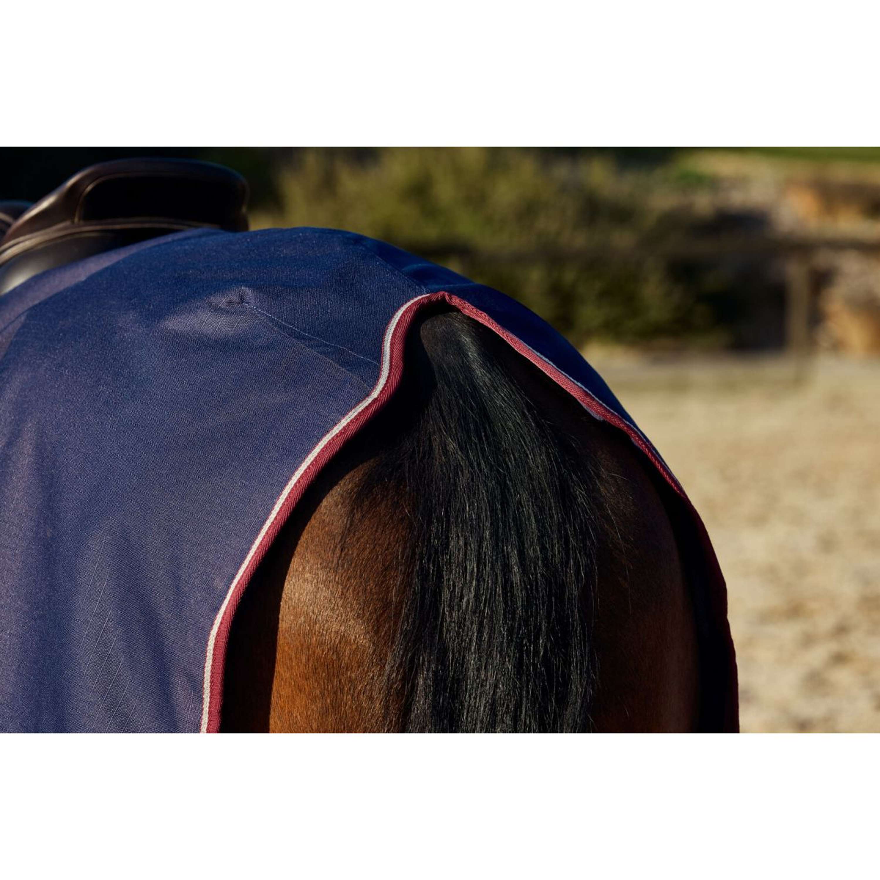 WeatherBeeta Exercise Rug Essential Fleece Lined Quarter Sheet Navy/Burgundy