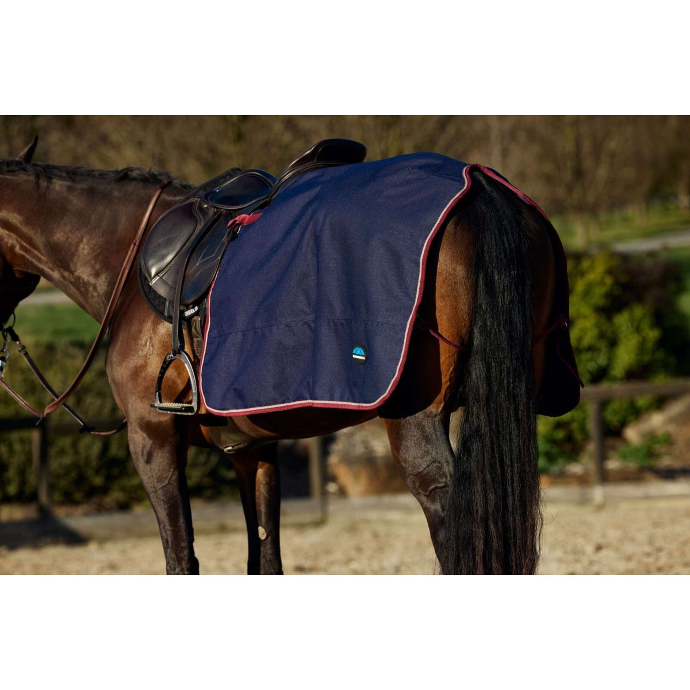 WeatherBeeta Exercise Rug Essential Fleece Lined Quarter Sheet Navy/Burgundy
