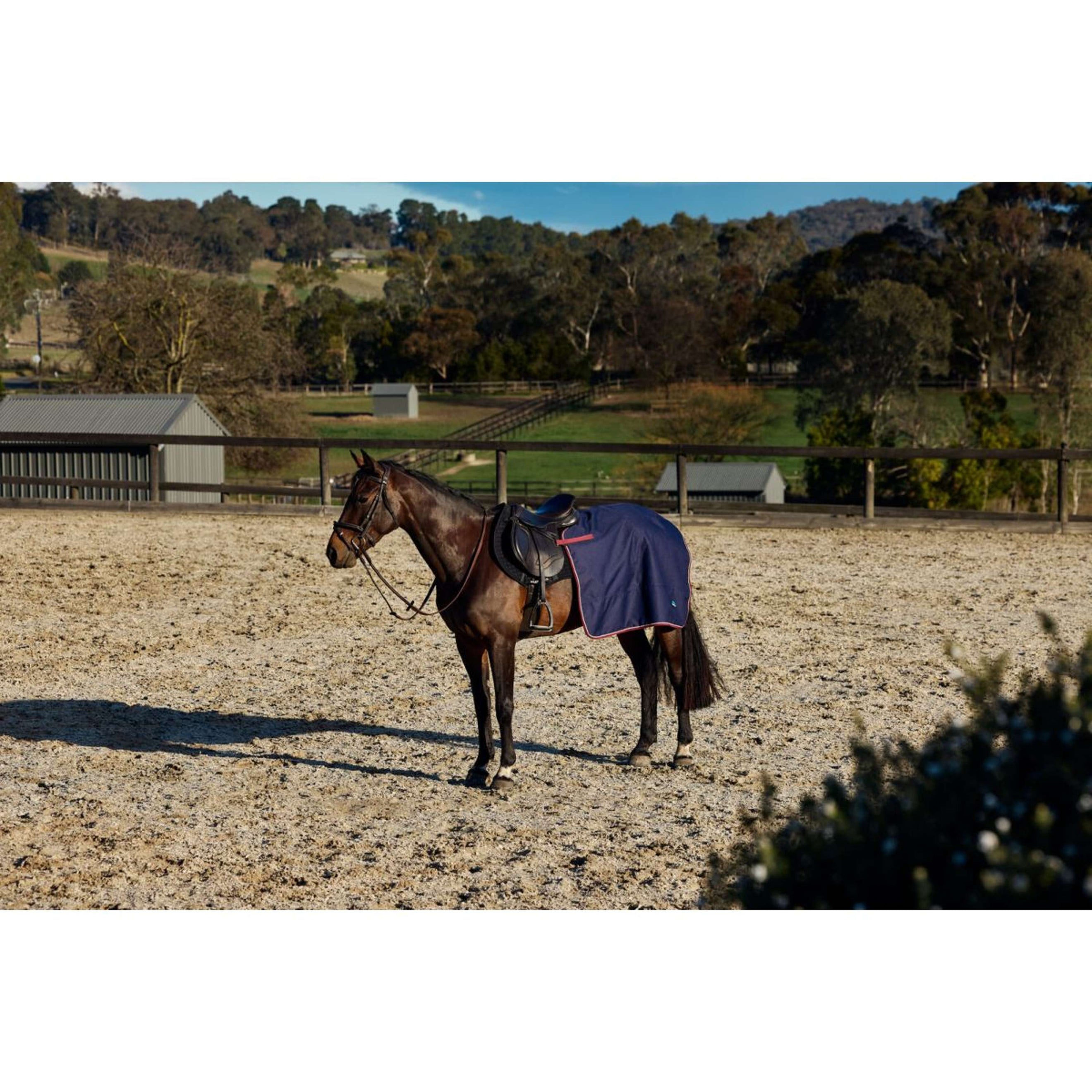 WeatherBeeta Exercise Rug Essential Fleece Lined Quarter Sheet Navy/Burgundy