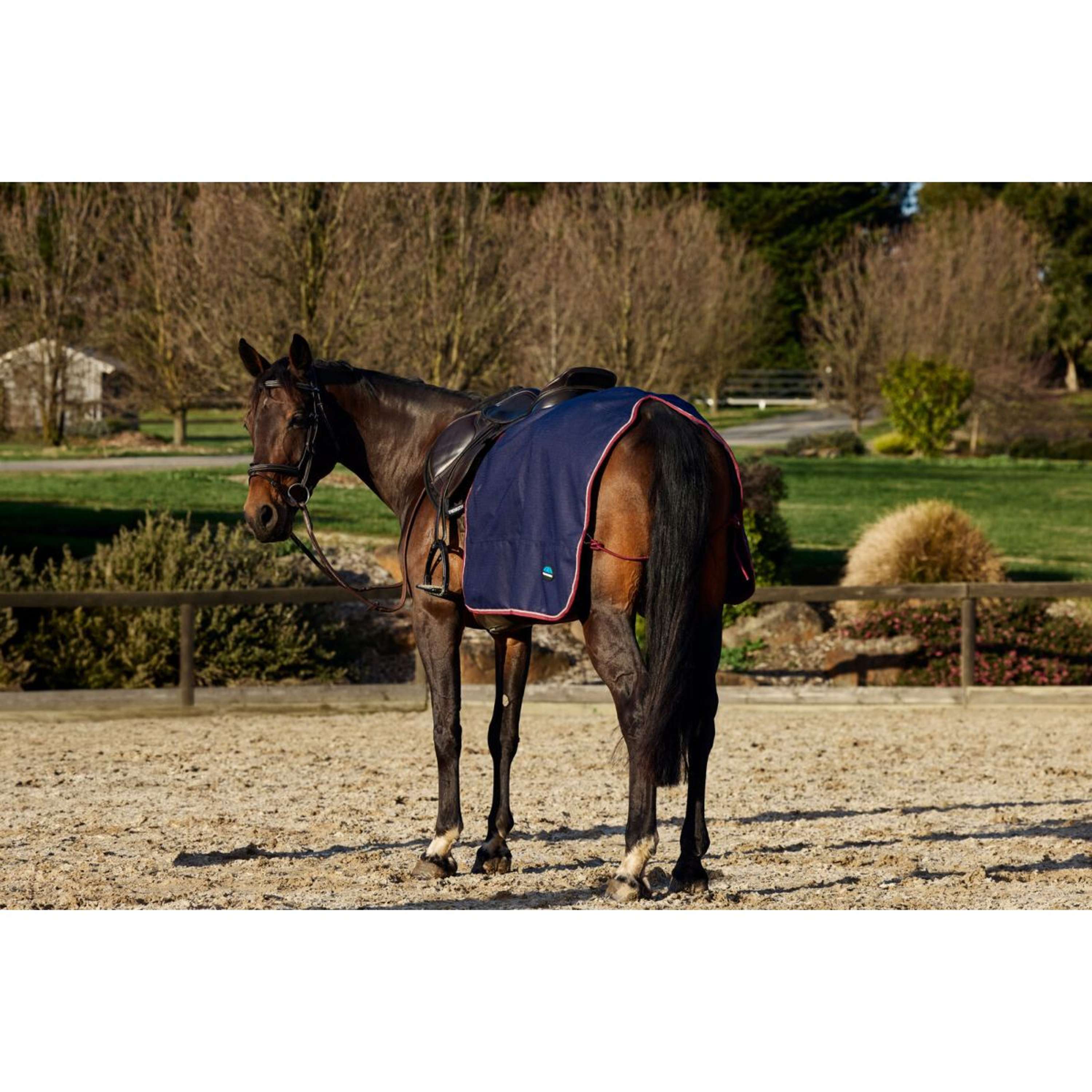 WeatherBeeta Exercise Rug Essential Fleece Lined Quarter Sheet Navy/Burgundy