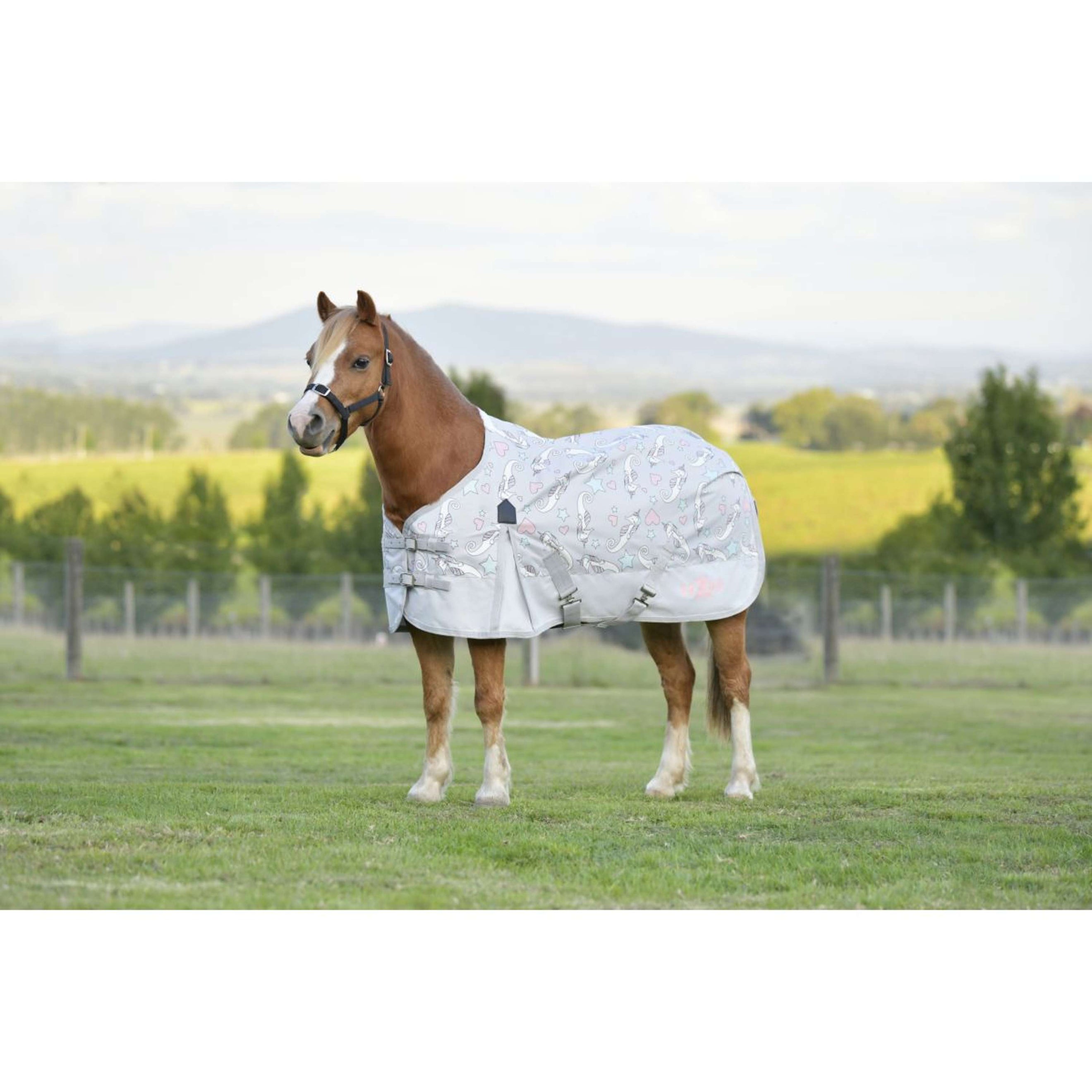 Saxon Rain Rug Pony Standard Neck Lite 600D Sea Unicorn Print