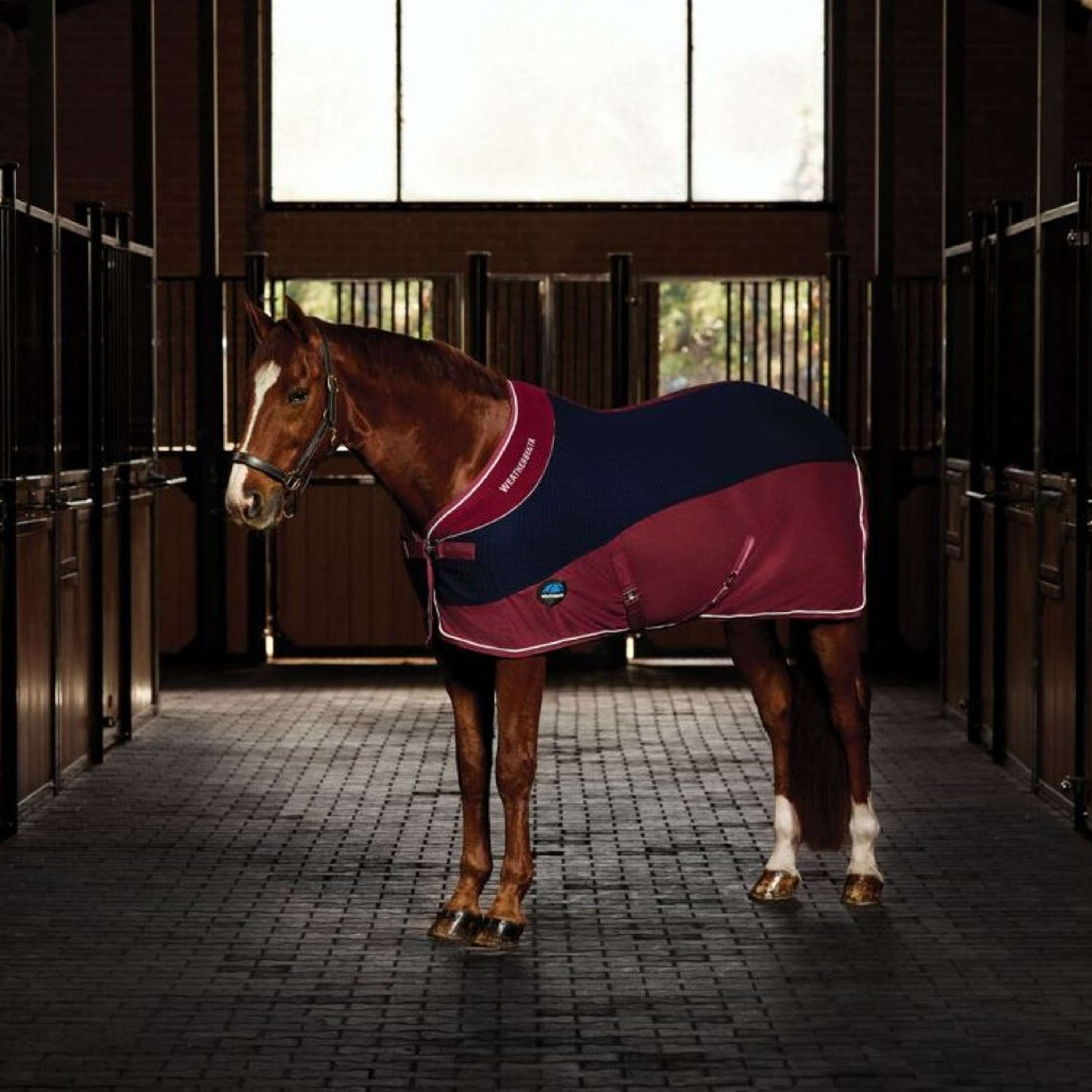 WeatherBeeta Fleece Rug Thermo-Air Standard Neck Navy/Burgundy