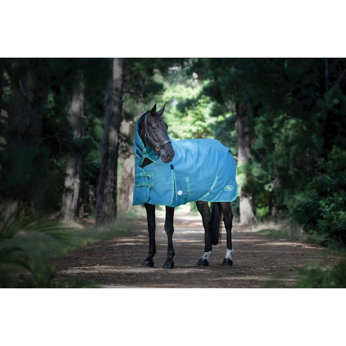 Weatherbeeta Rain Rug Green-Tec Combo Neck Lite Plus 1200D Dragonfly Blue/Bottle Green