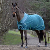 Weatherbeeta Sweat Rug Green-Tec Standard Neck Fleece Dragonfly Blue/Bottle Green