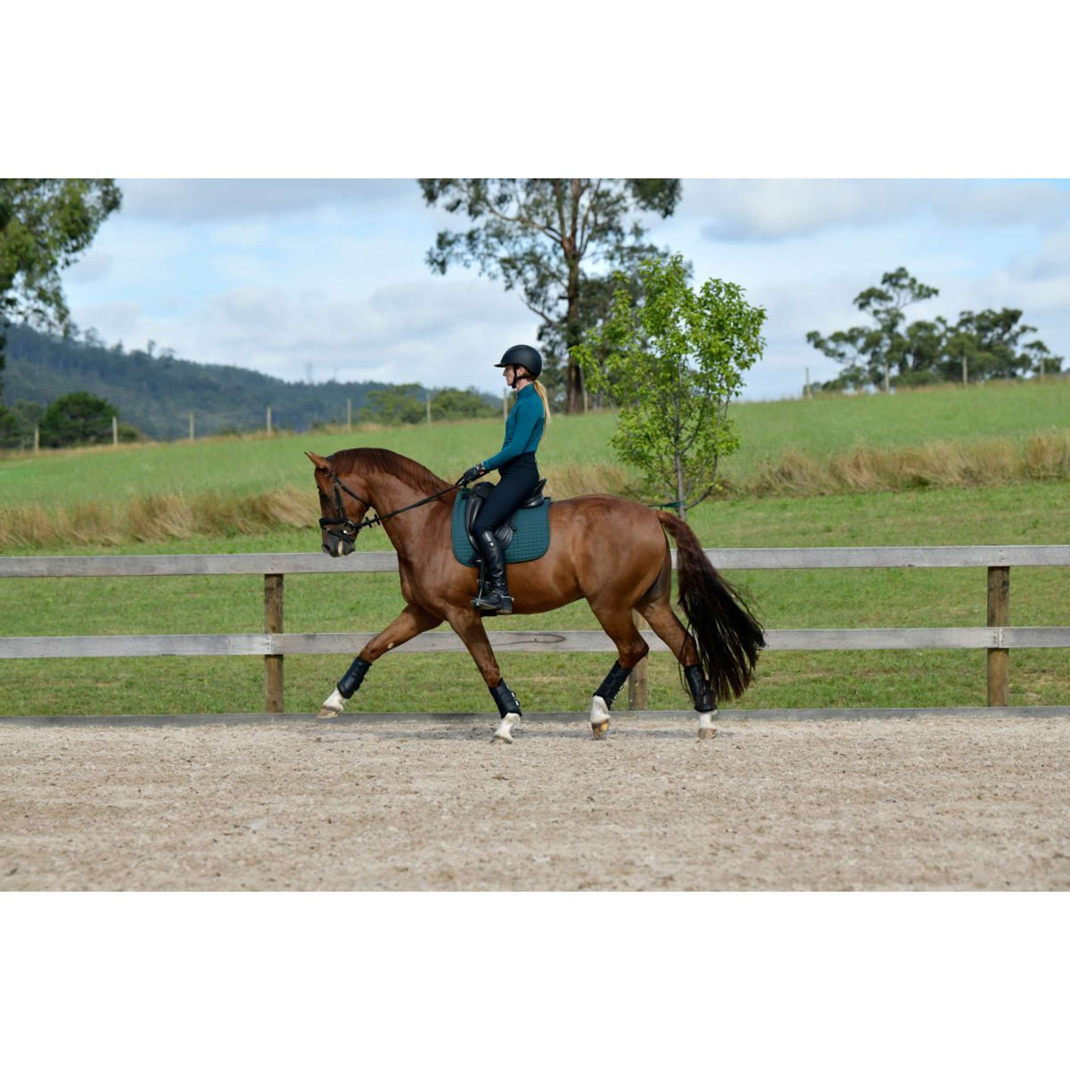 Weatherbeeta Saddlepad Prime Dressage Reflecting Pond