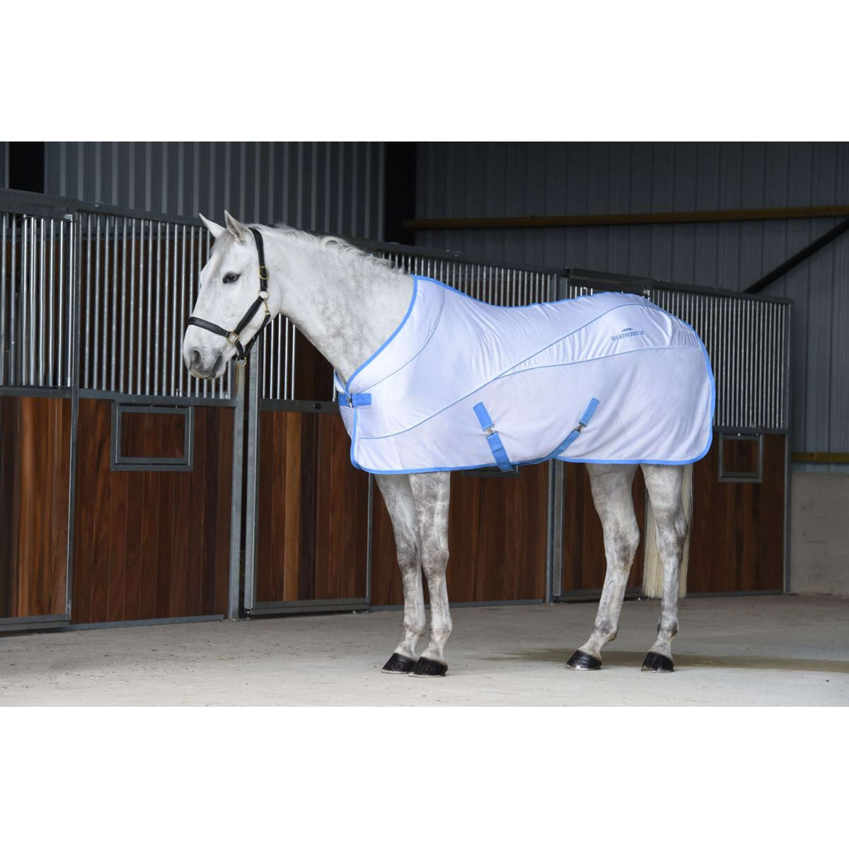 Weatherbeeta Sweat Rug Air-Tec Cooler Standard Neck White/Blue