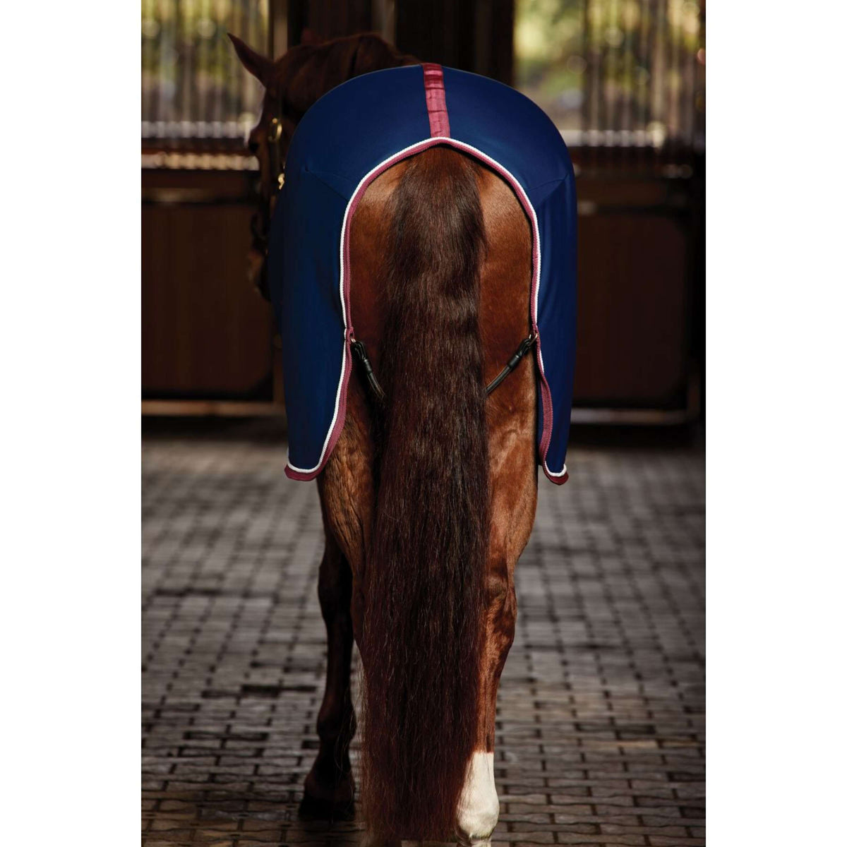 WeatherBeeta Show Rug Opulence Standard Neck Navy/Burgundy