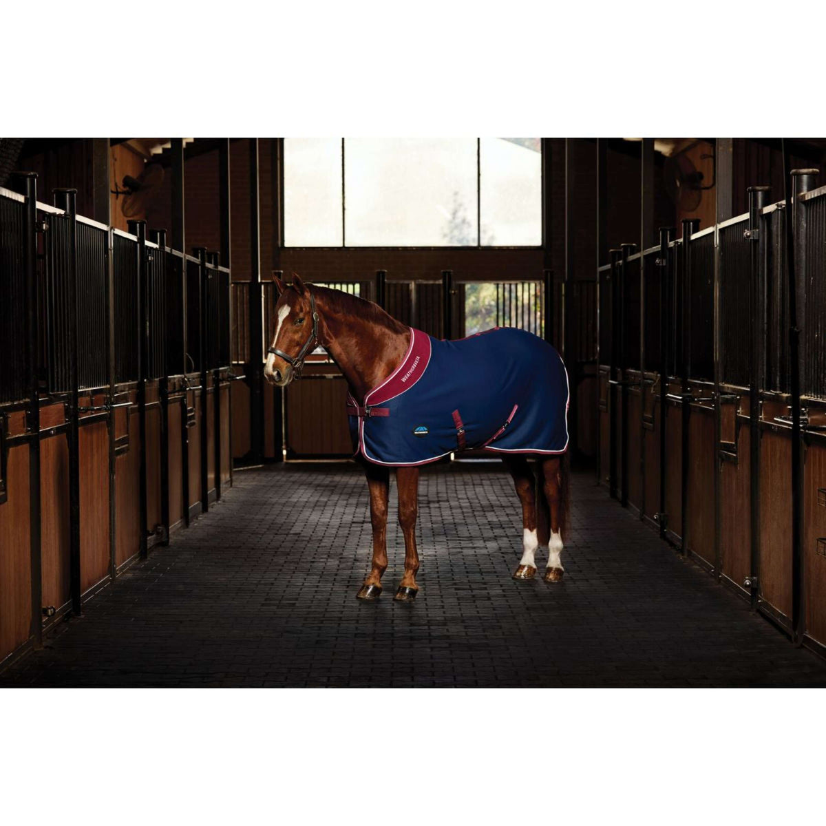 WeatherBeeta Show Rug Opulence Standard Neck Navy/Burgundy