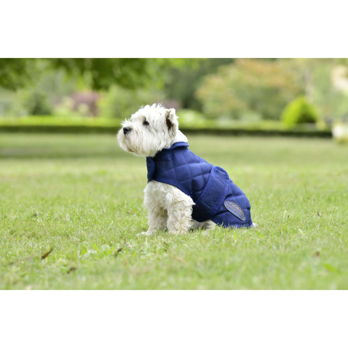 Weatherbeeta Dog Rug Comfitec Deluxe Diamond Quilt Navy