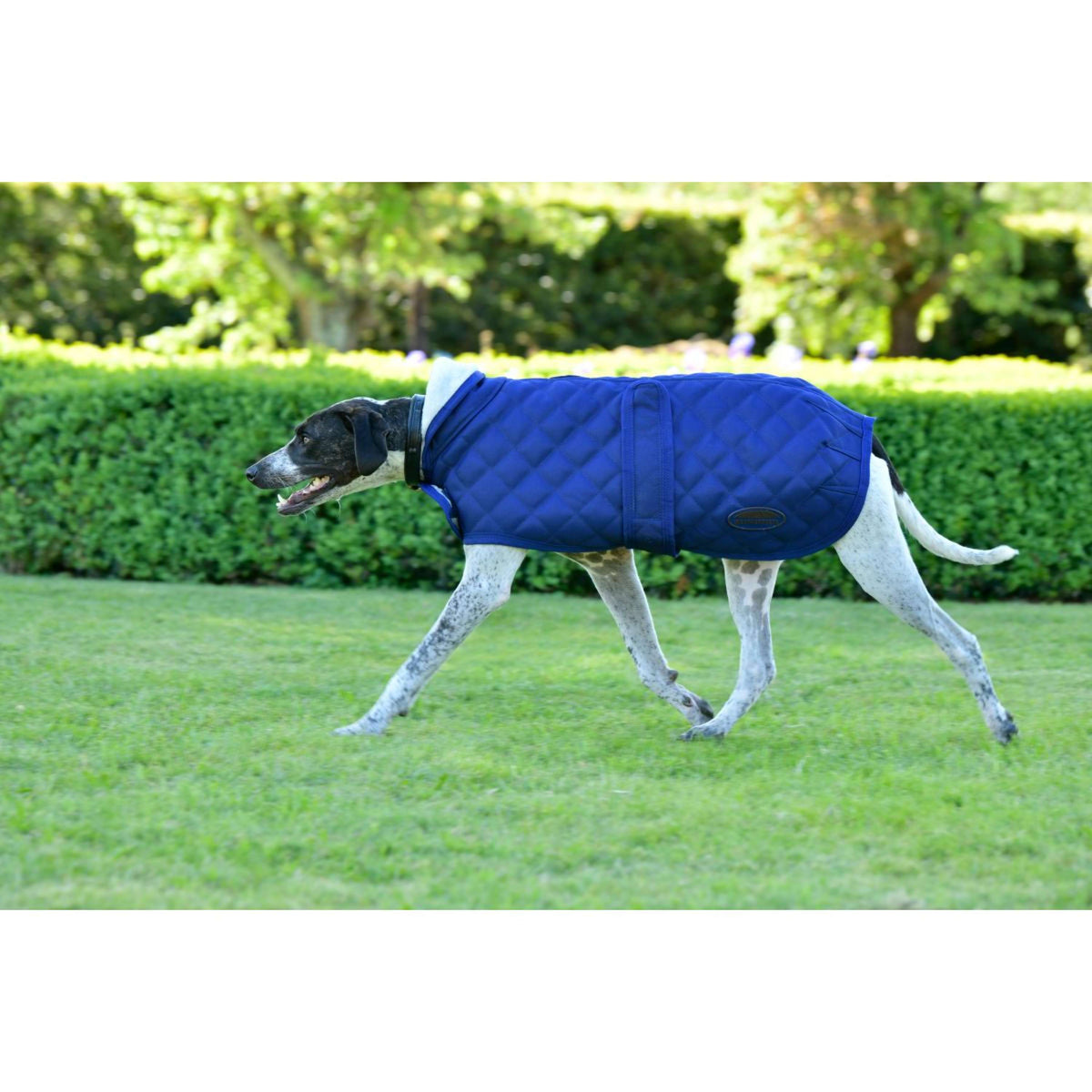 Weatherbeeta Dog Rug Comfitec Deluxe Diamond Quilt Navy