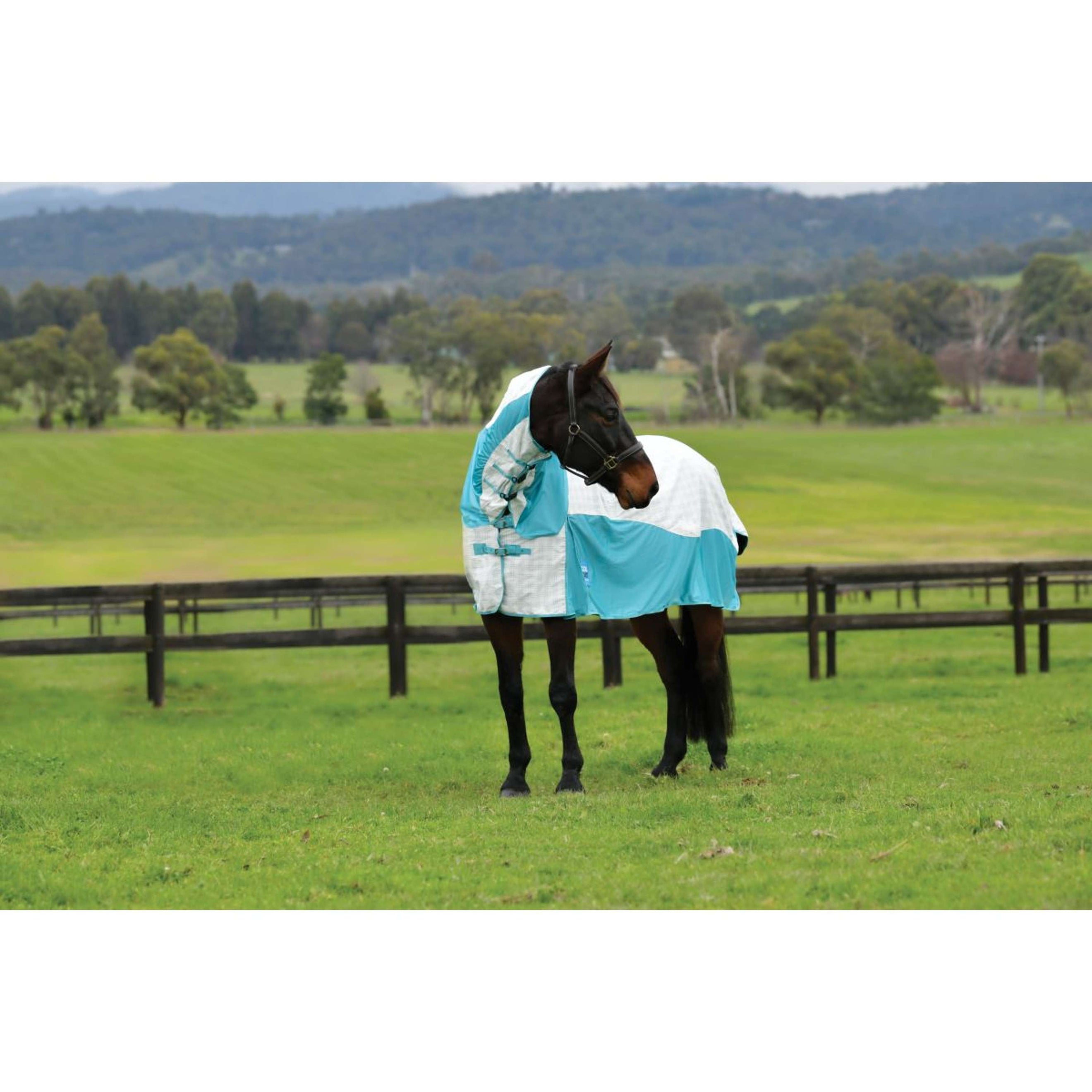 WeatherBeeta Cooler Cotton Airstream II Detach-A-Neck WeatherBeeta Cooler Cotton Airstream II Detach-A-Neck