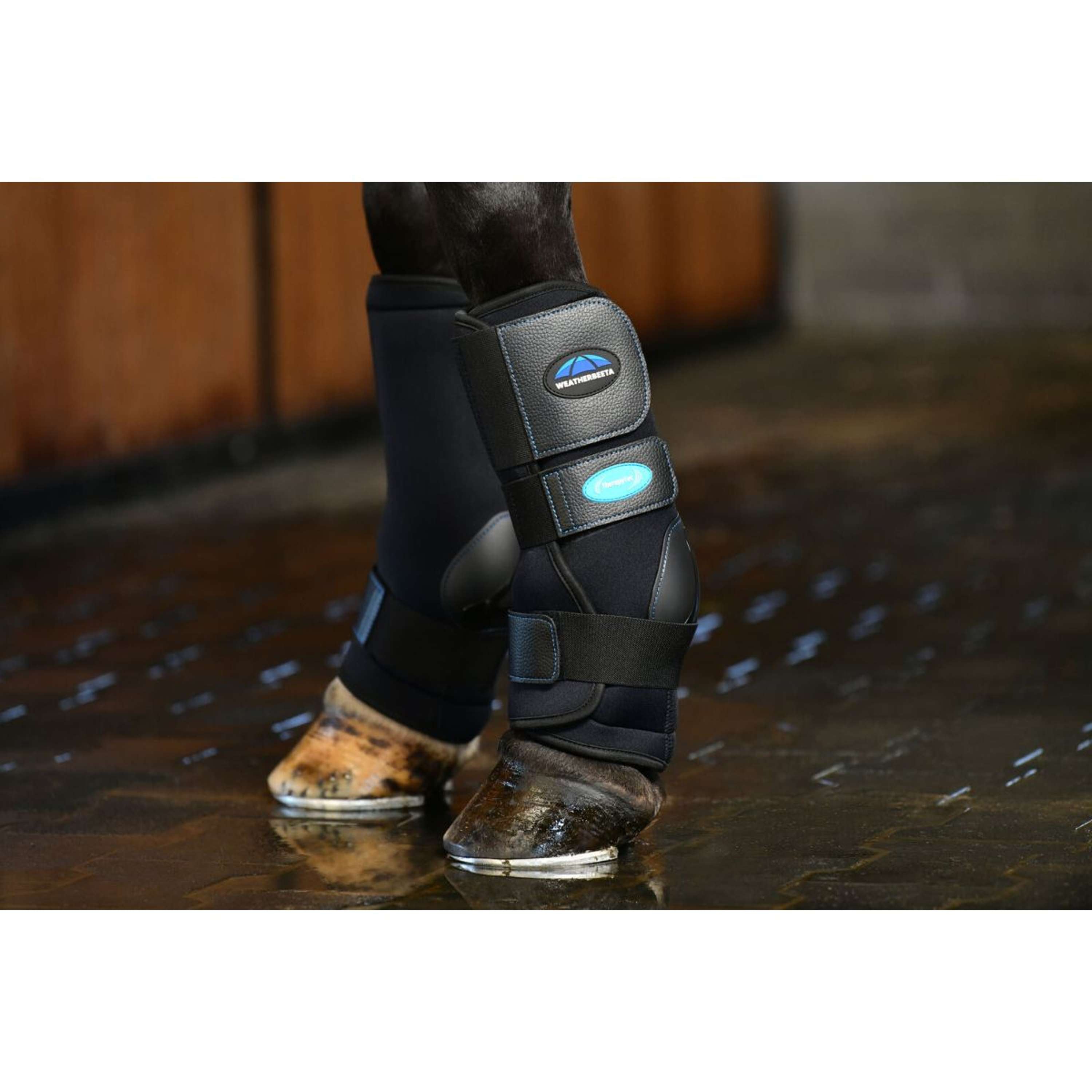 WeatherBeeta Ice Boots Therapy-Tec II Ultra Cool Black