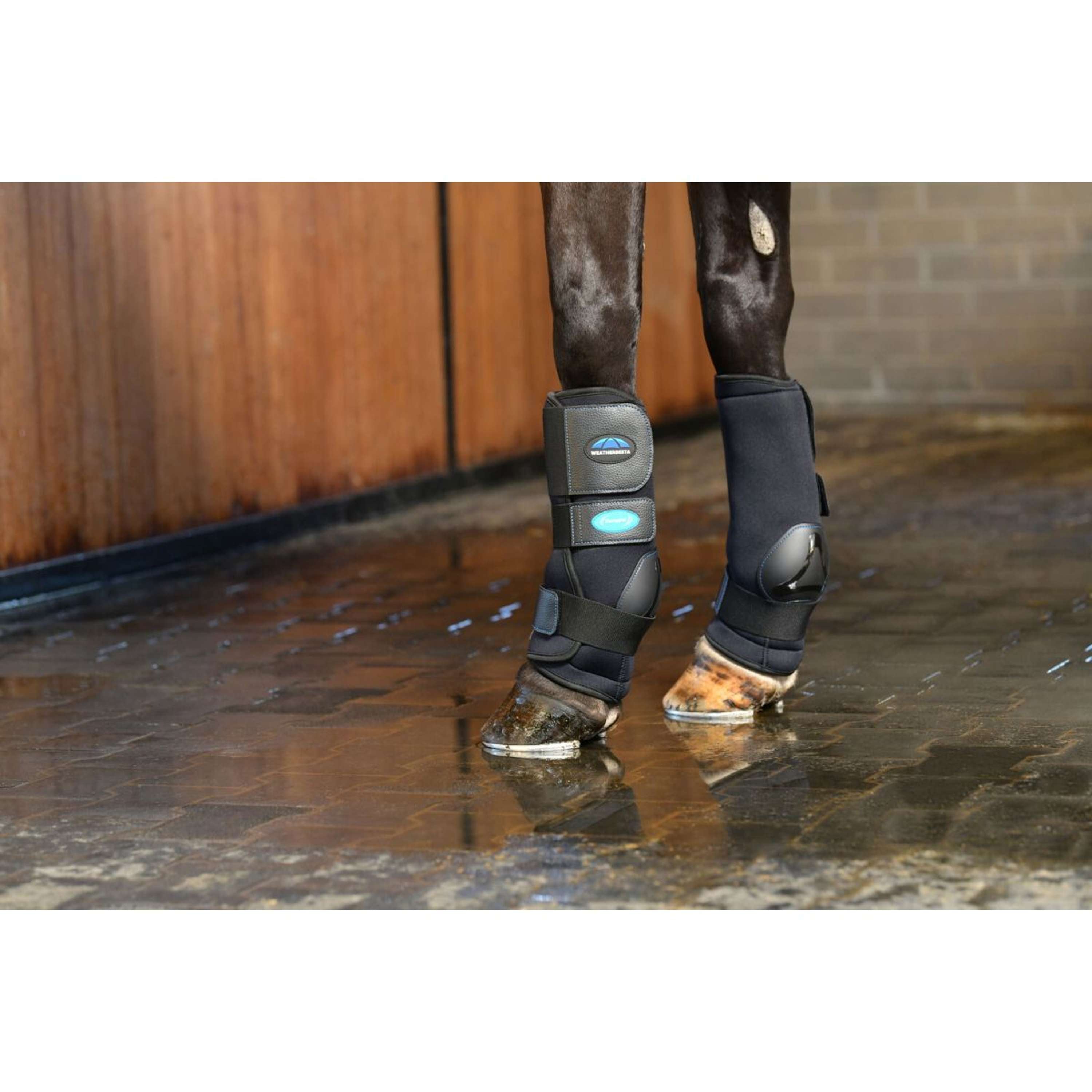 WeatherBeeta Ice Boots Therapy-Tec II Ultra Cool Black