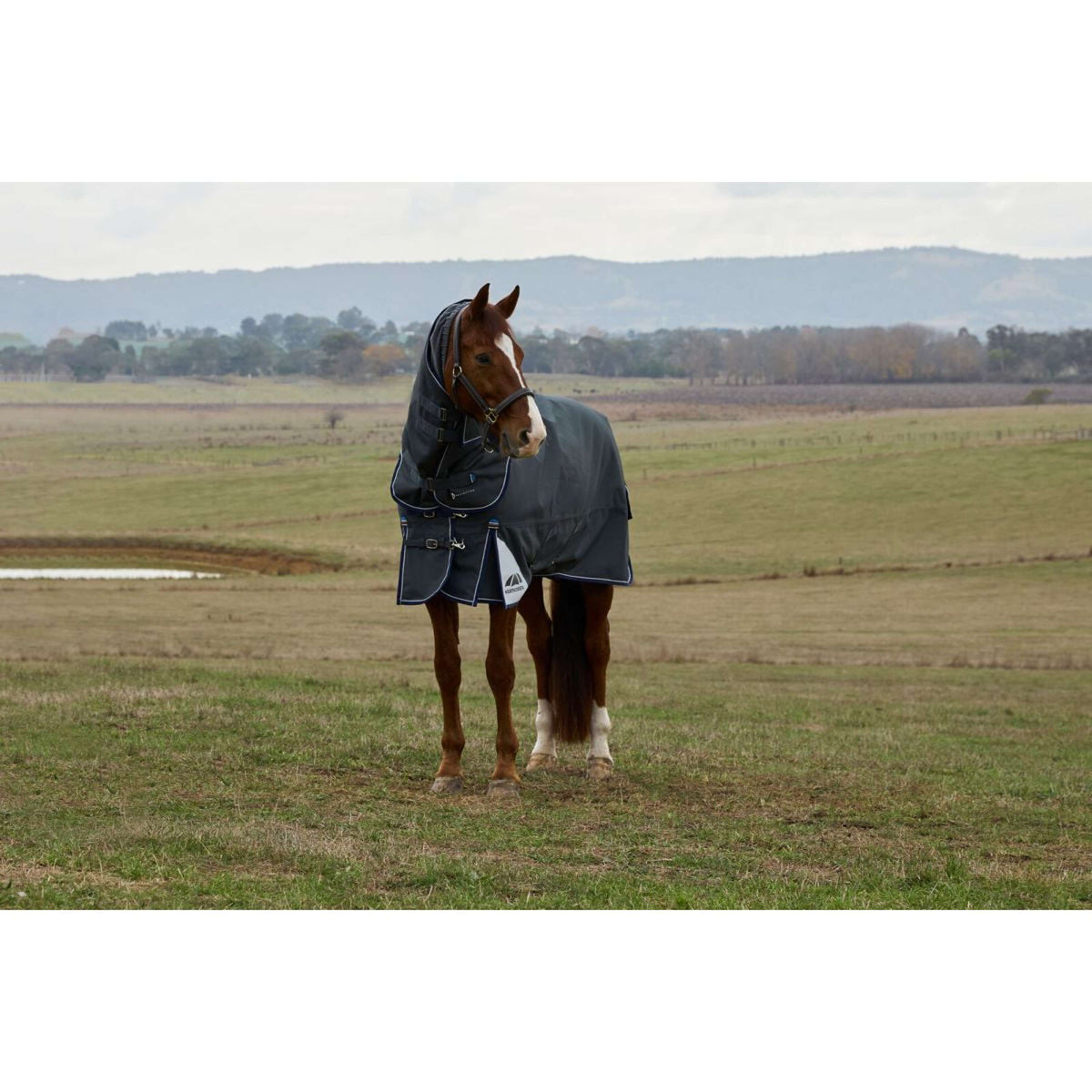 WeatherBeeta ComFiTec Ultra Turnout Detach-A-Neck 100g Charcoal