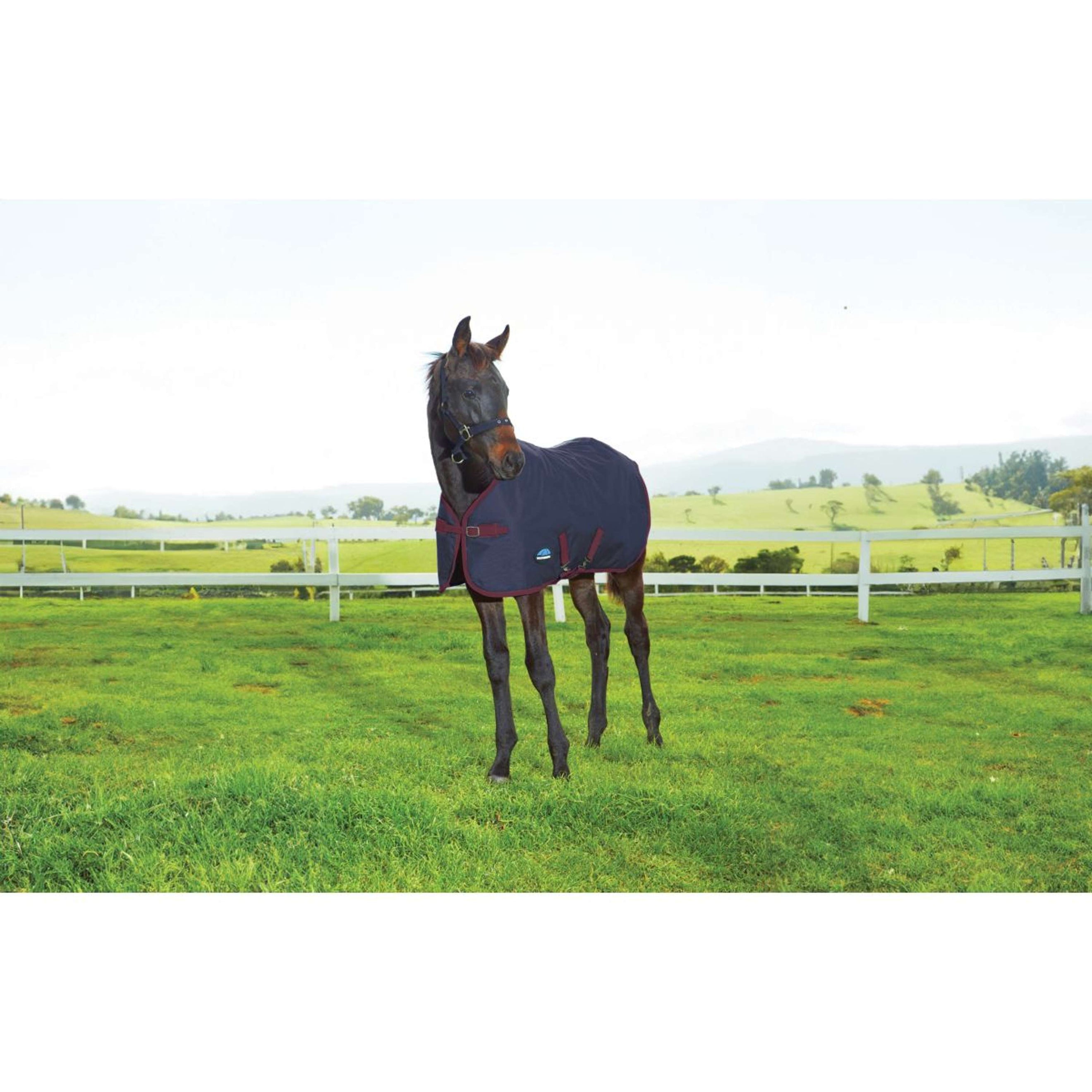WeatherBeeta Foal Rug 1200D Standard Neck 220g Navy/Burgundy