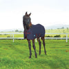 WeatherBeeta Foal Rug 1200D Standard Neck 220g Navy/Burgundy