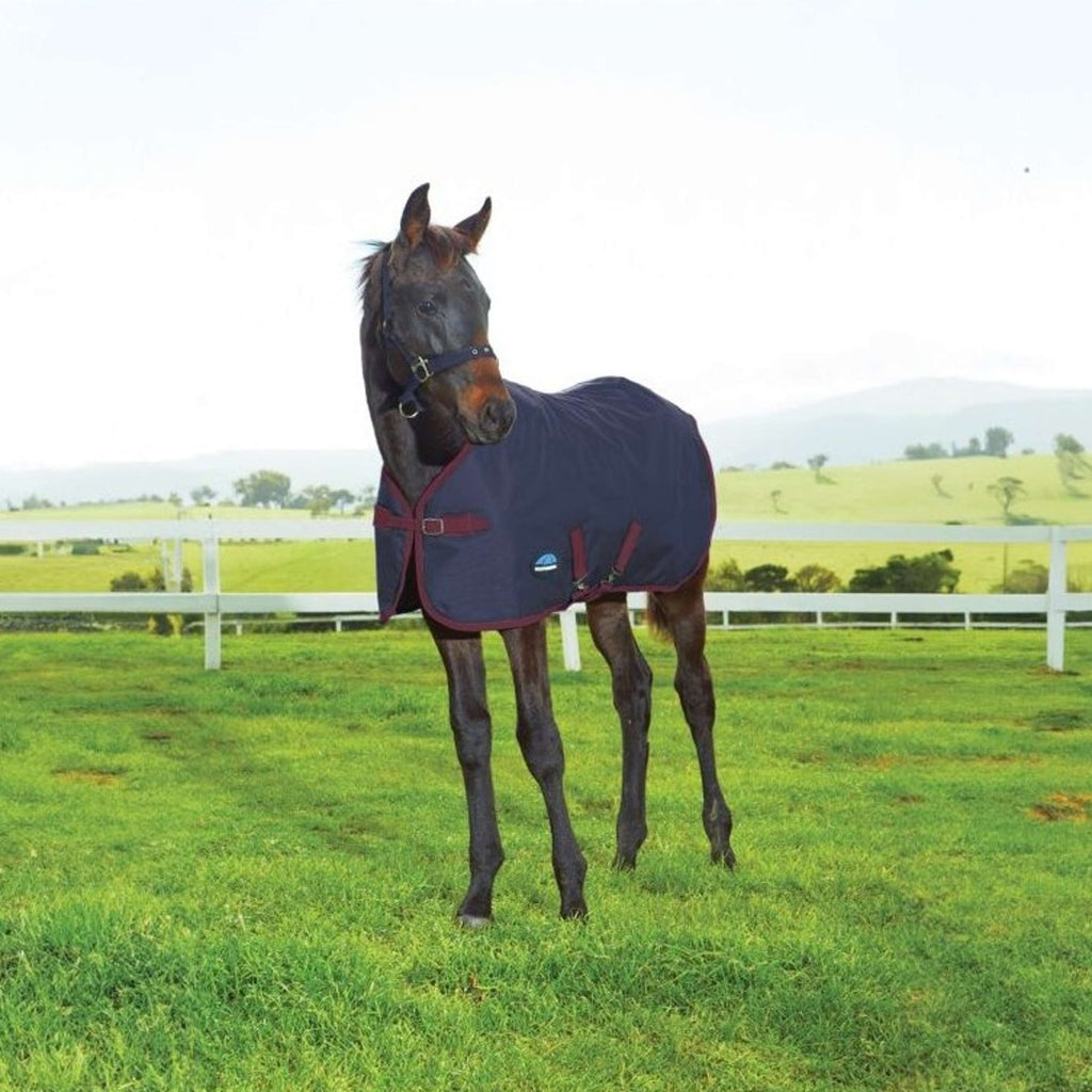 WeatherBeeta Foal Rug 1200D Standard Neck 220g Navy/Burgundy