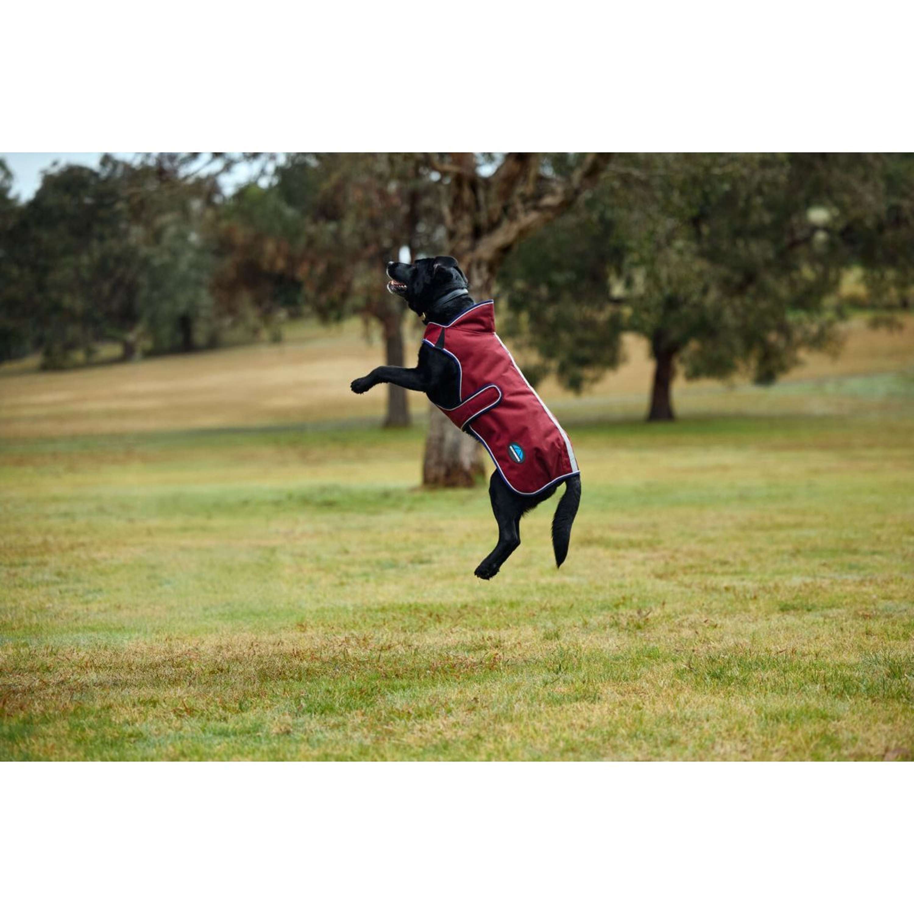 WeatherBeeta Dog Rug ComFiTec Premier Deluxe Waterproof Burgundy/Navy