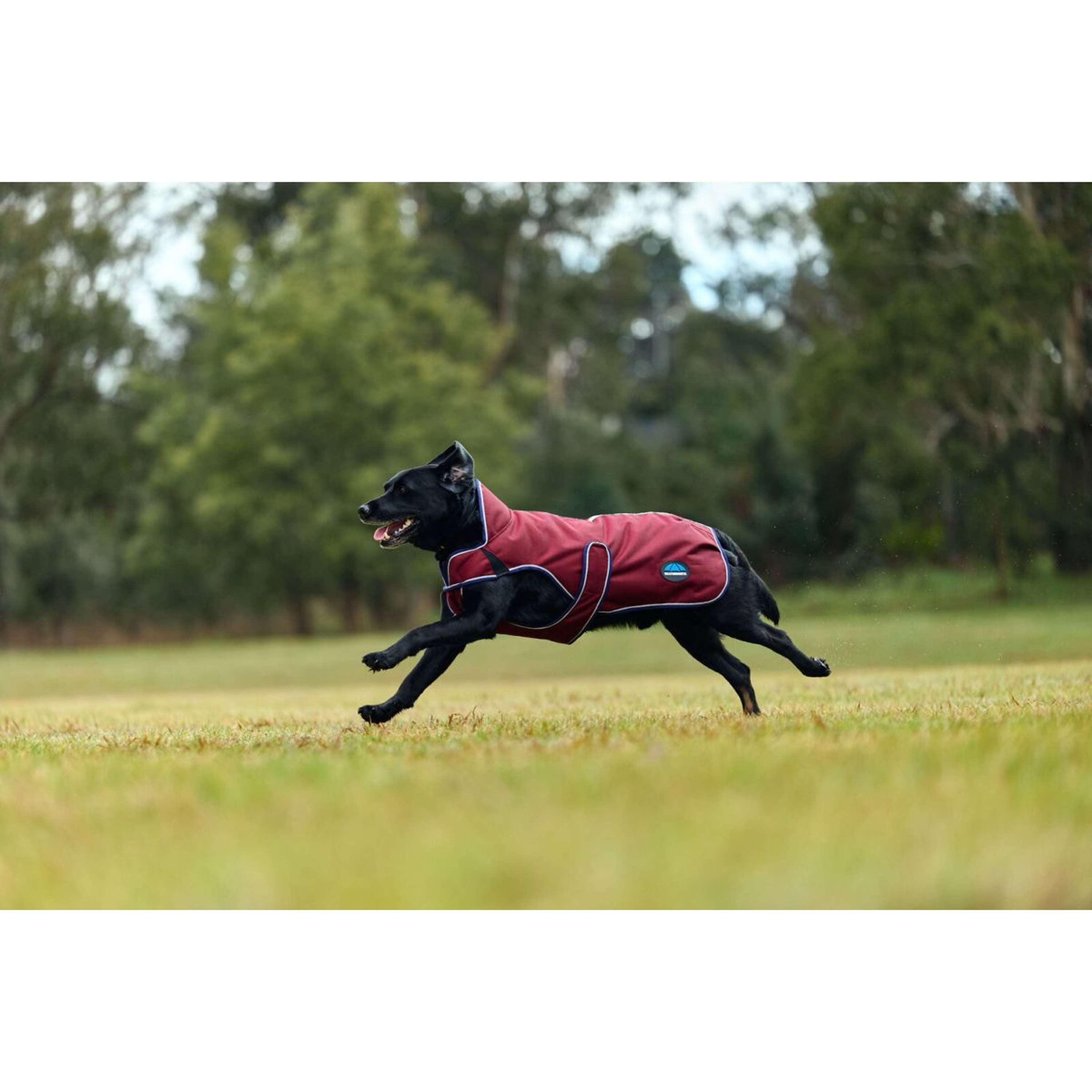 WeatherBeeta Dog Rug ComFiTec Premier Deluxe Waterproof Burgundy/Navy