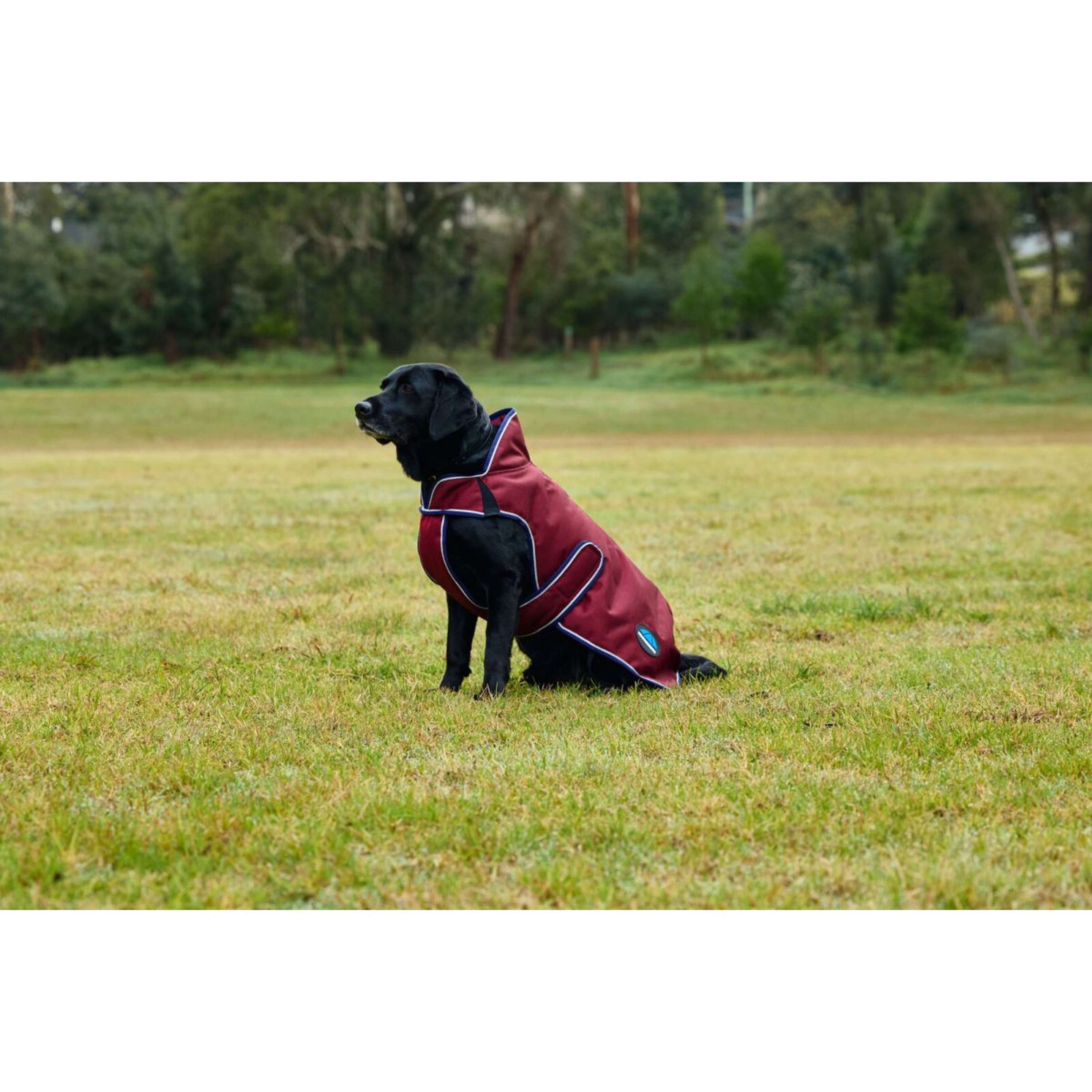 WeatherBeeta Dog Rug ComFiTec Premier Deluxe Waterproof Burgundy/Navy