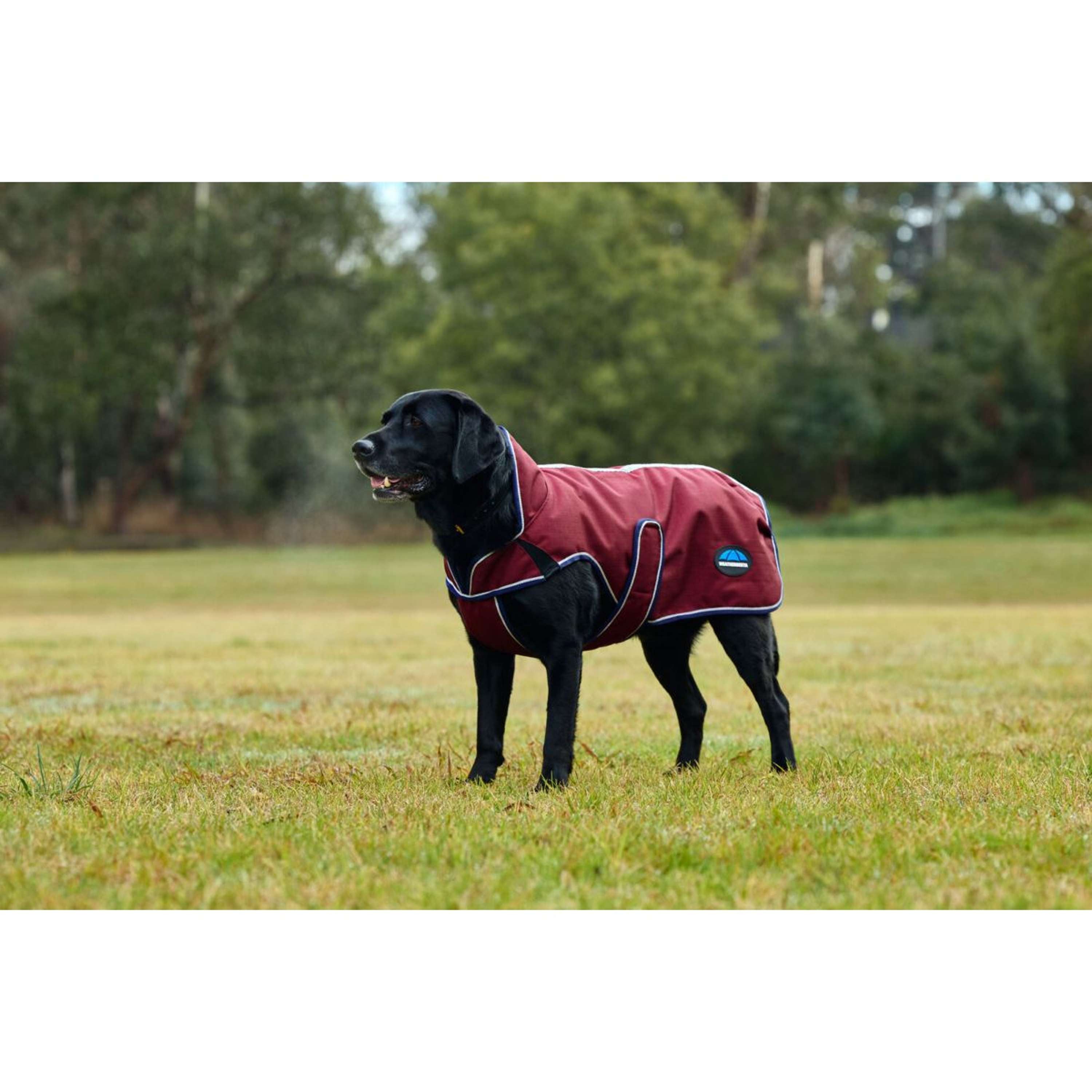 WeatherBeeta Dog Rug ComFiTec Premier Deluxe Waterproof Burgundy/Navy
