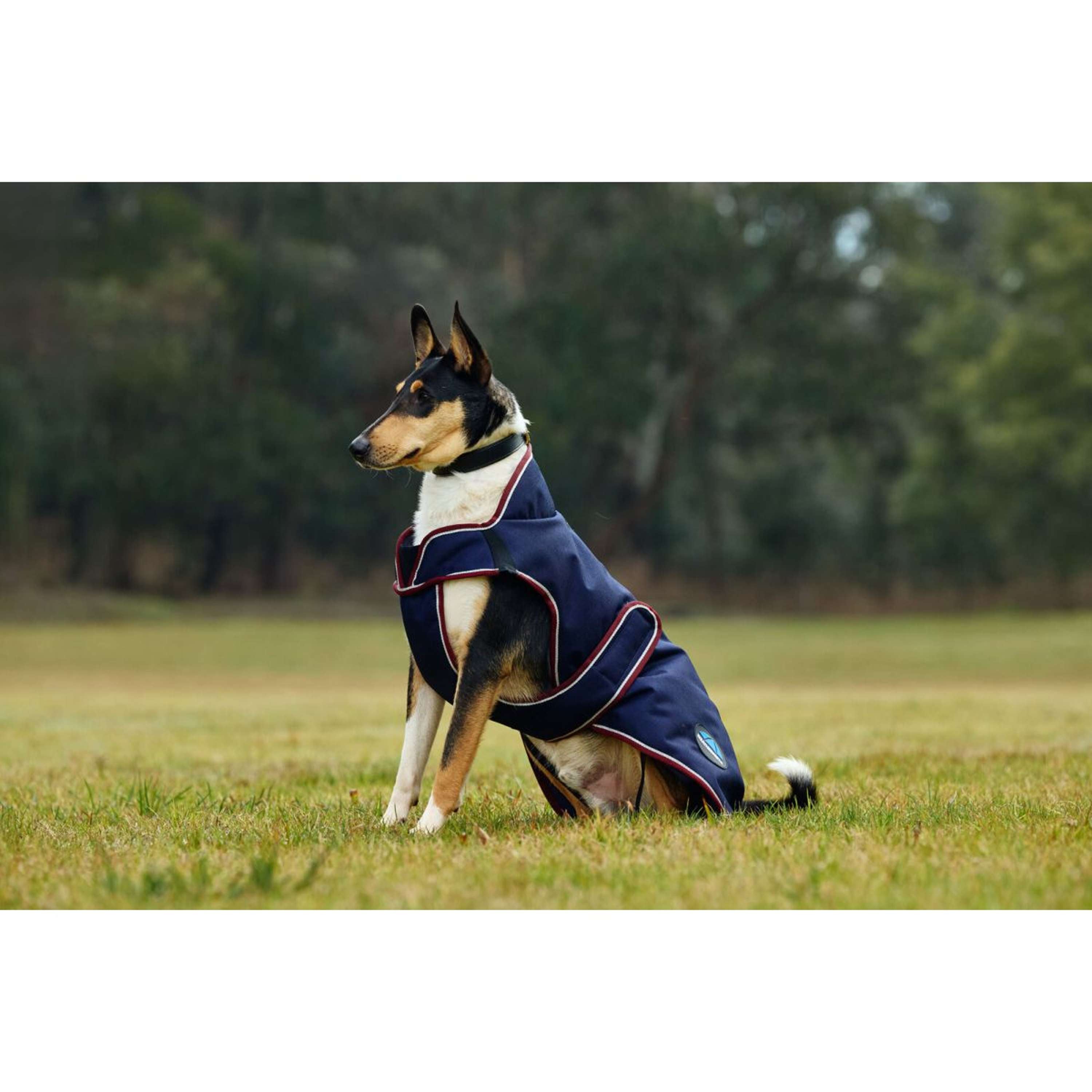 WeatherBeeta Dog Rug ComFiTec Premier Deluxe Waterproof Navy/Burgundy