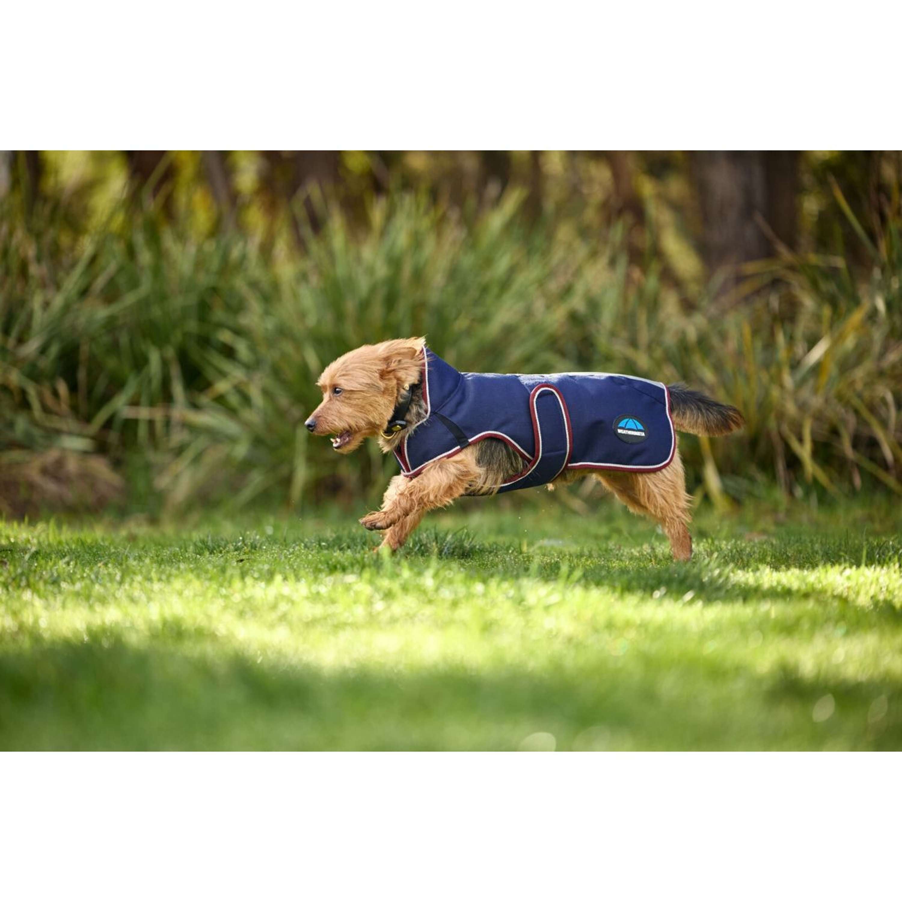 WeatherBeeta Dog Rug ComFiTec Premier Deluxe Waterproof Navy/Burgundy