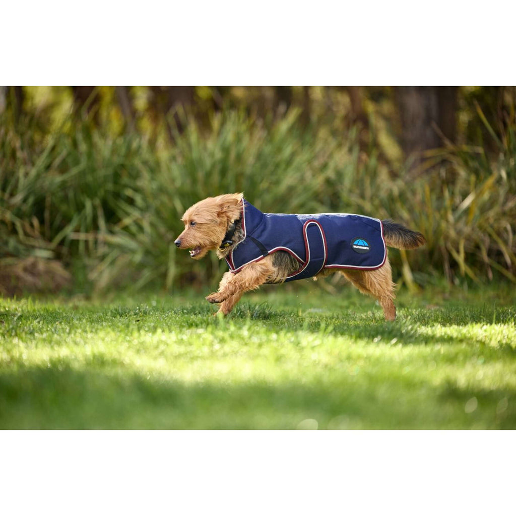 WeatherBeeta Dog Rug ComFiTec Premier Deluxe Waterproof Navy/Burgundy