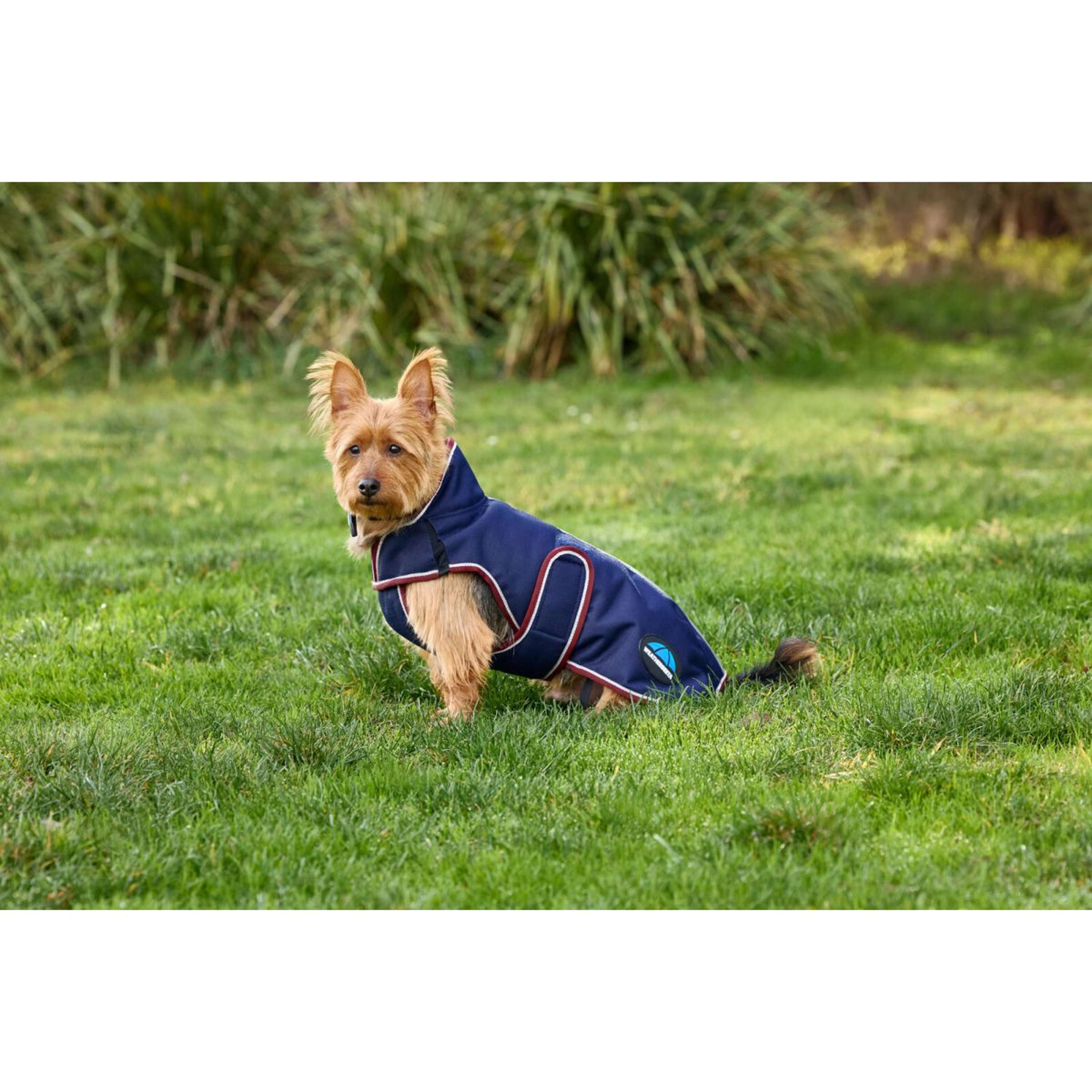 WeatherBeeta Dog Rug ComFiTec Premier Deluxe Waterproof Navy/Burgundy