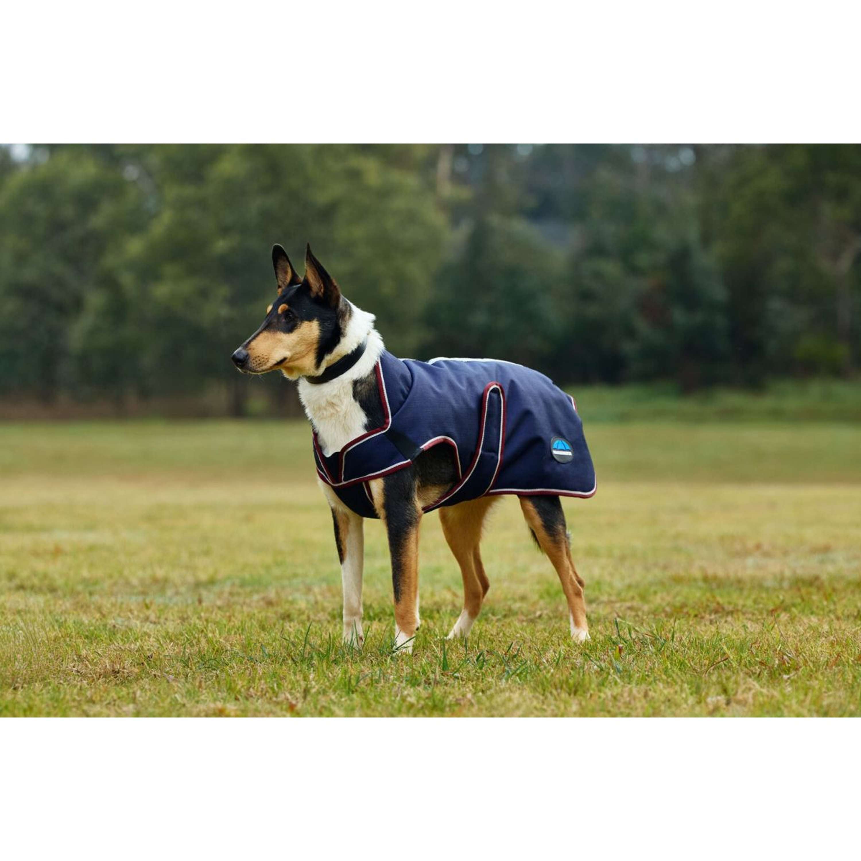 WeatherBeeta Dog Rug ComFiTec Premier Deluxe Waterproof Navy/Burgundy