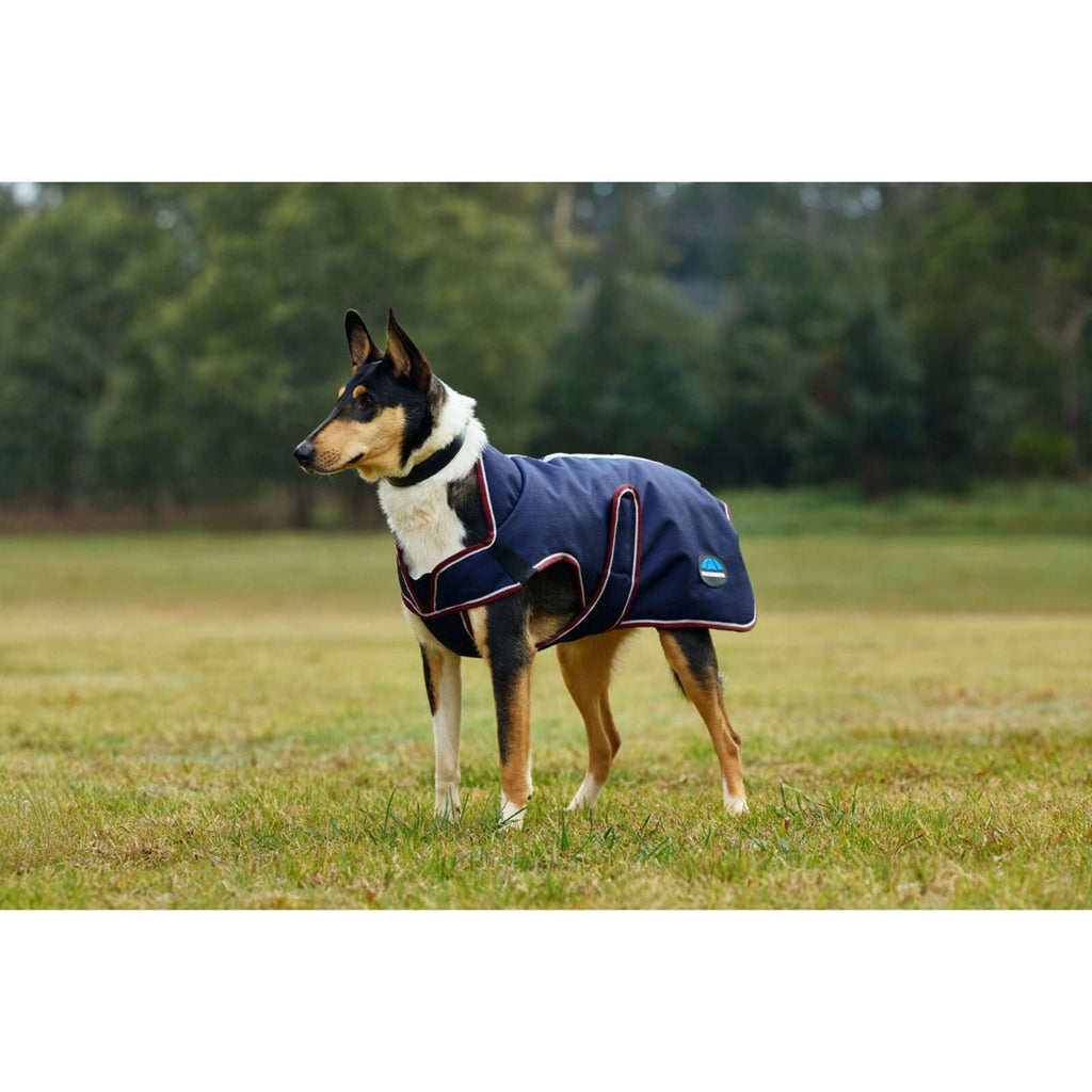 WeatherBeeta Dog Rug ComFiTec Premier Deluxe Waterproof Navy/Burgundy