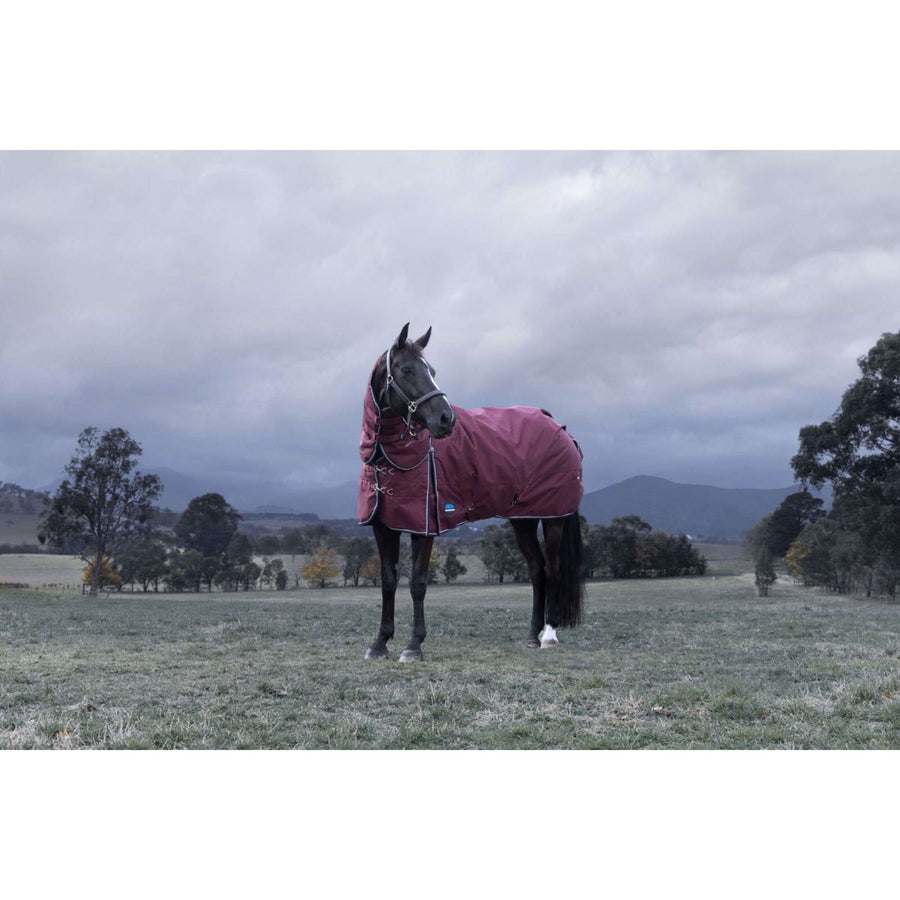 WeatherBeeta ComFiTec Essential Turnout Detach-A-Neck 220g Burgundy/Navy
