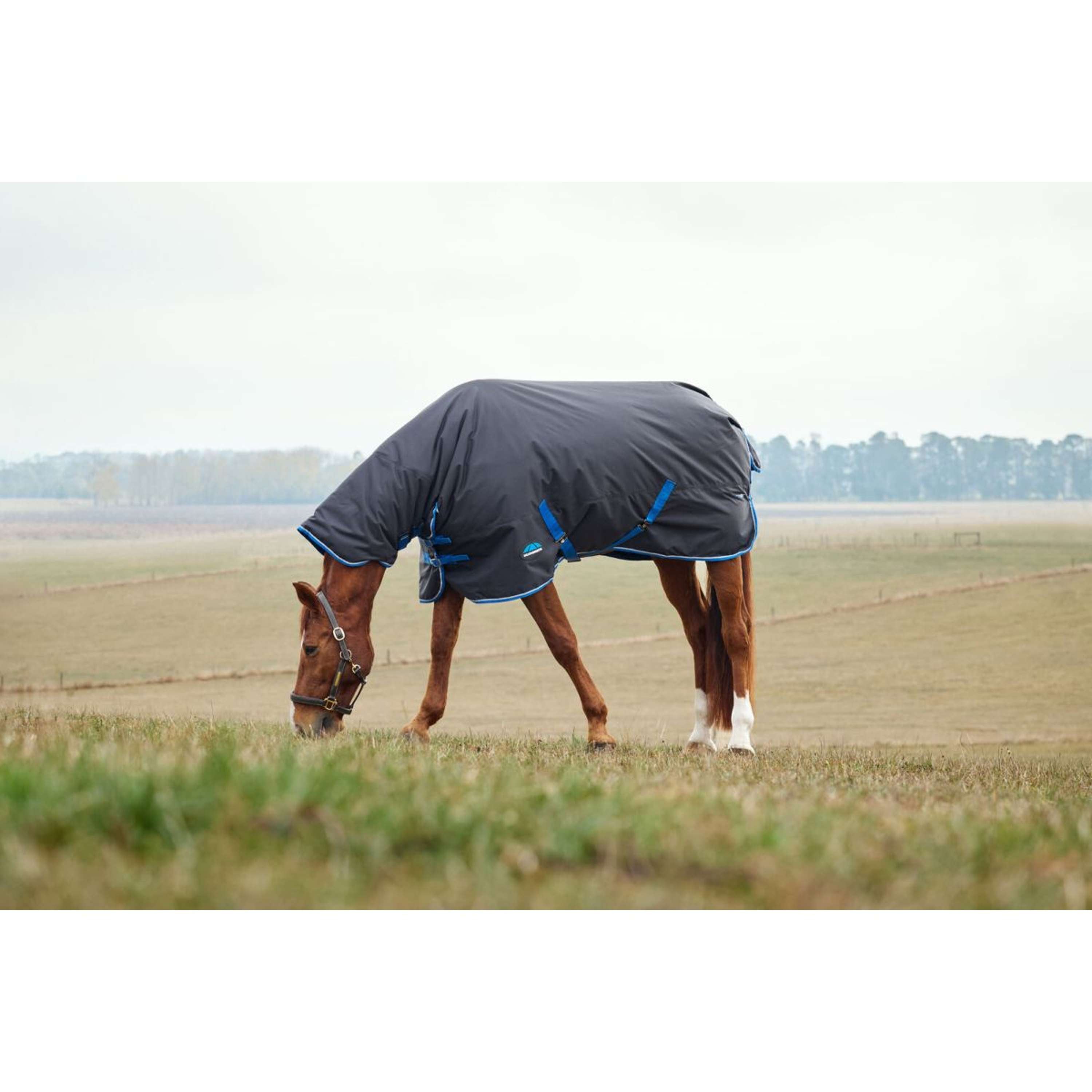 WeatherBeeta ComFiTec Tyro Turnout Combo Neck 220g Black/Cobalt