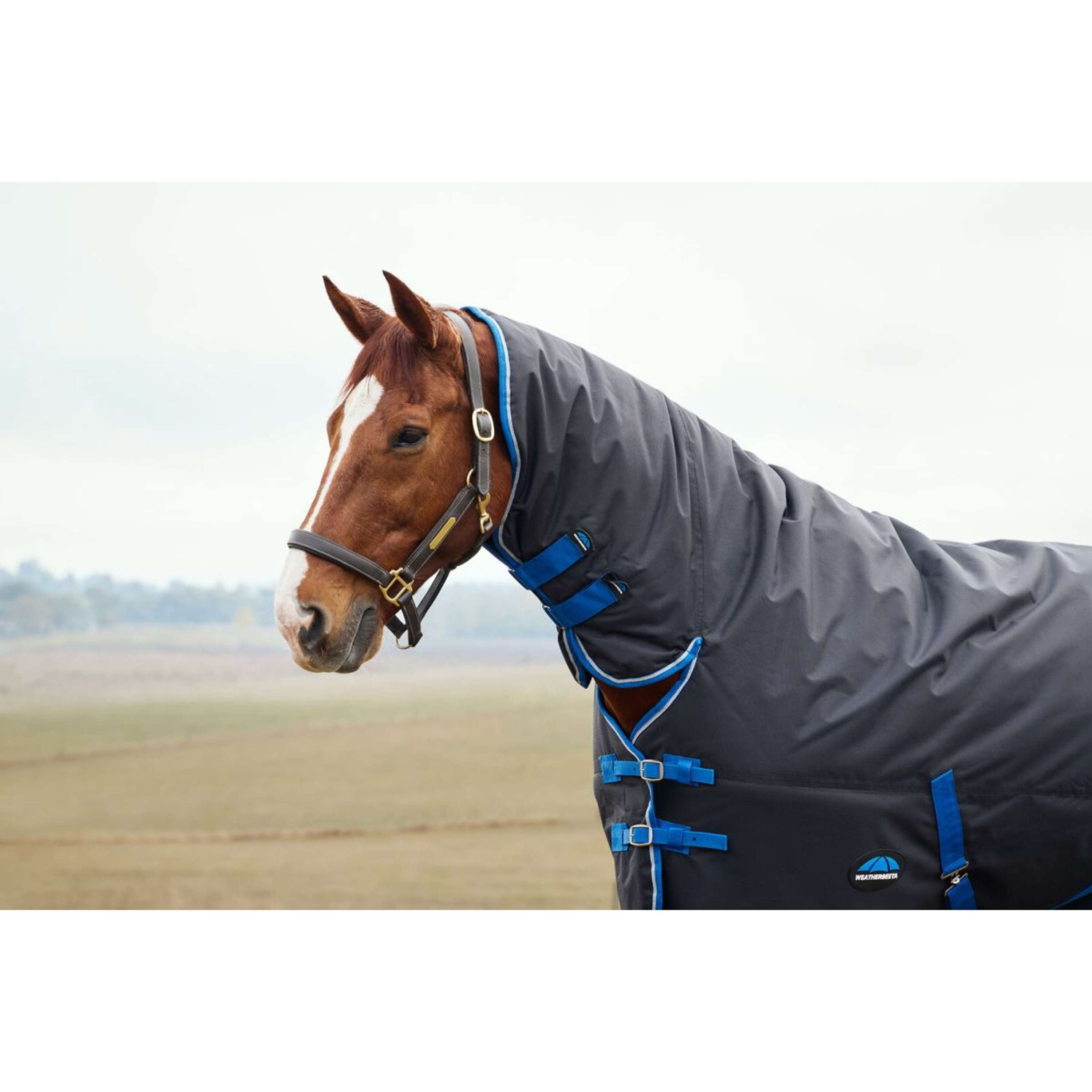 WeatherBeeta ComFiTec Tyro Turnout Combo Neck 220g Black/Cobalt
