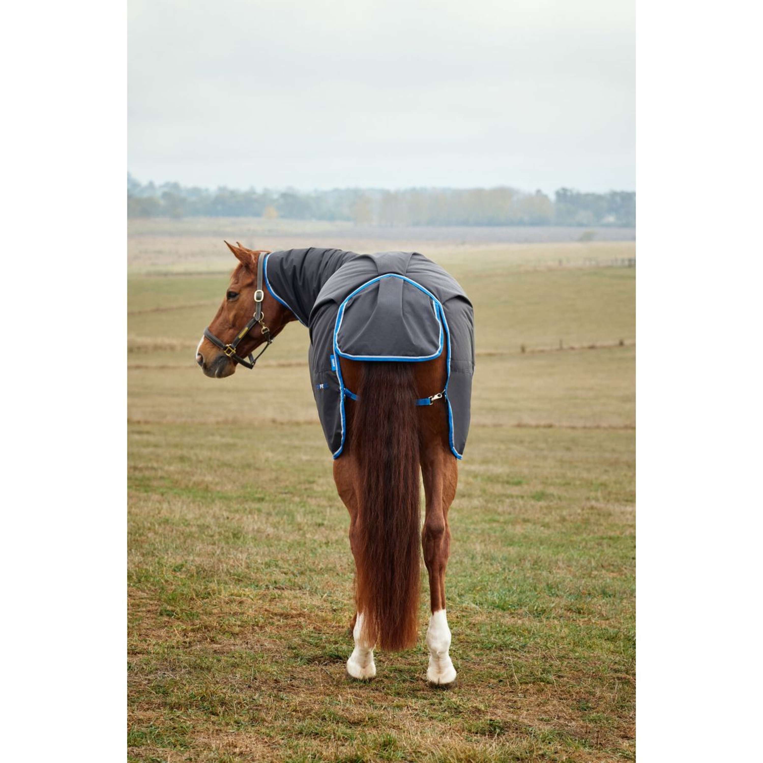 WeatherBeeta ComFiTec Tyro Turnout Combo Neck 220g Black/Cobalt