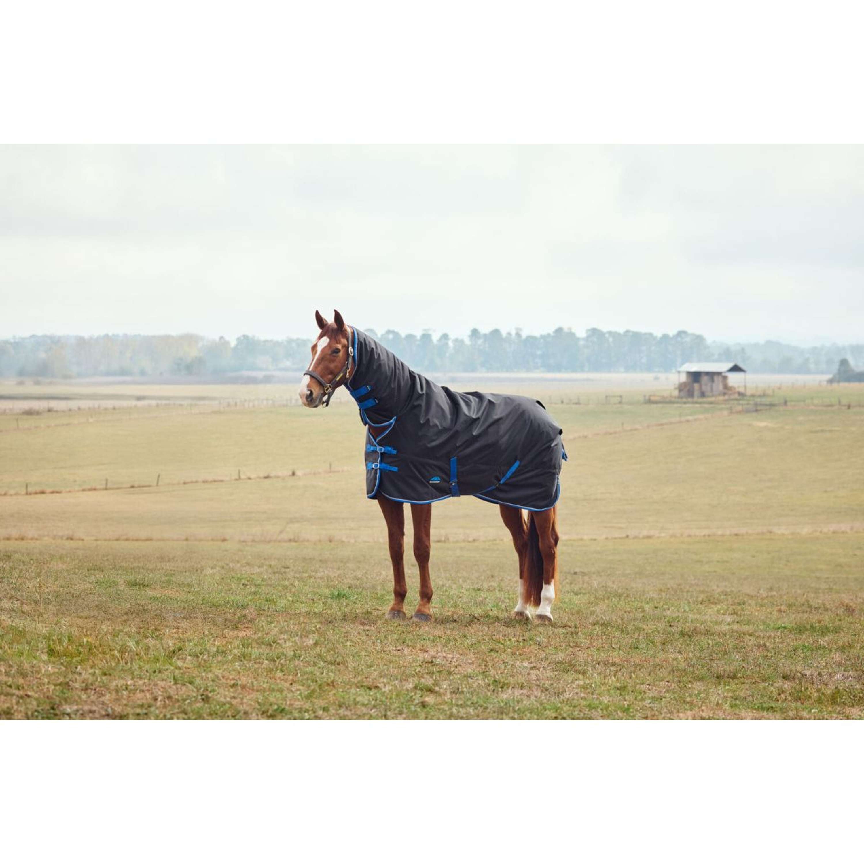 WeatherBeeta ComFiTec Tyro Turnout Combo Neck 220g Black/Cobalt