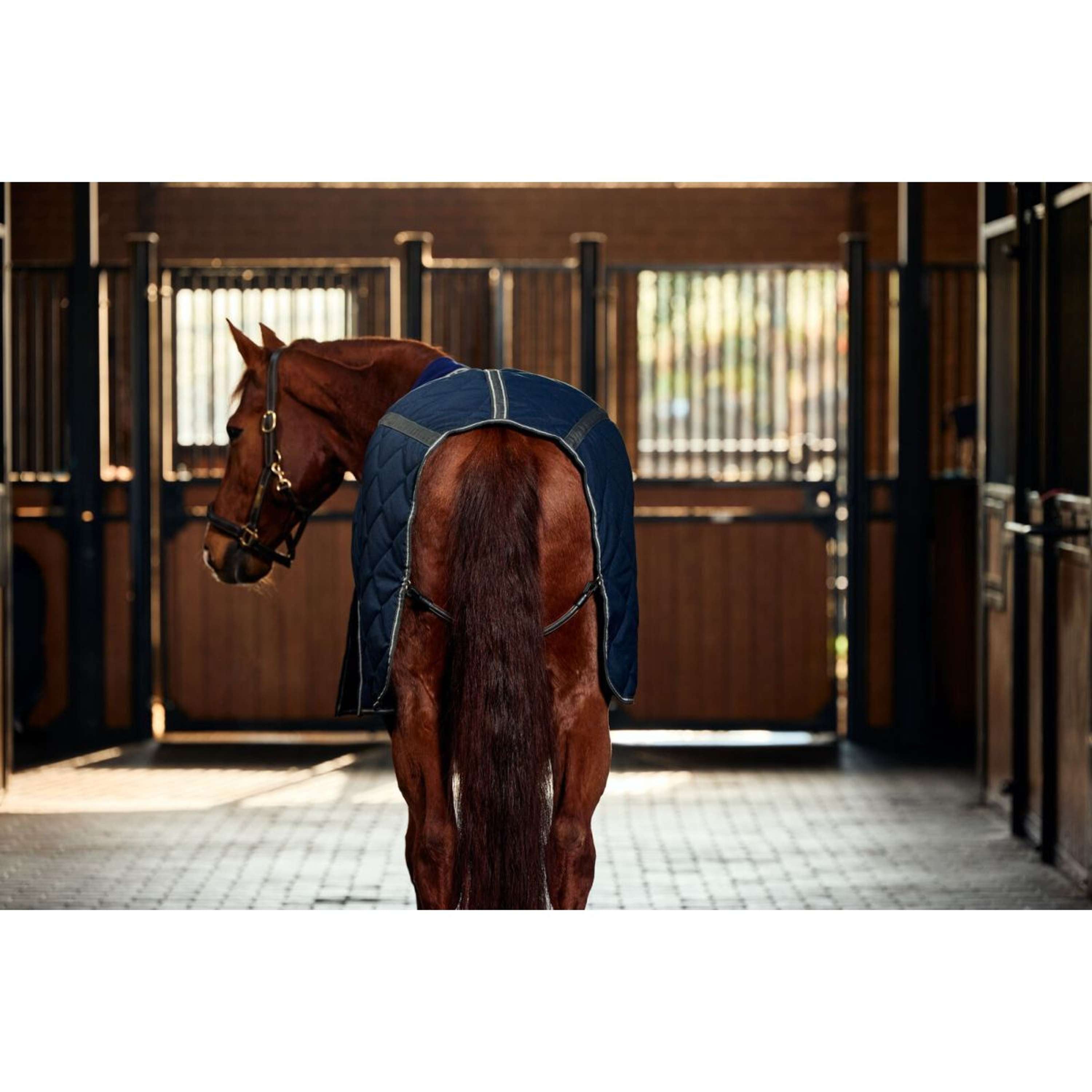 WeatherBeeta Stable Rug ComFiTec 100D Diamond Quilt Detach-A-Neck 220g Navy/Charcoal