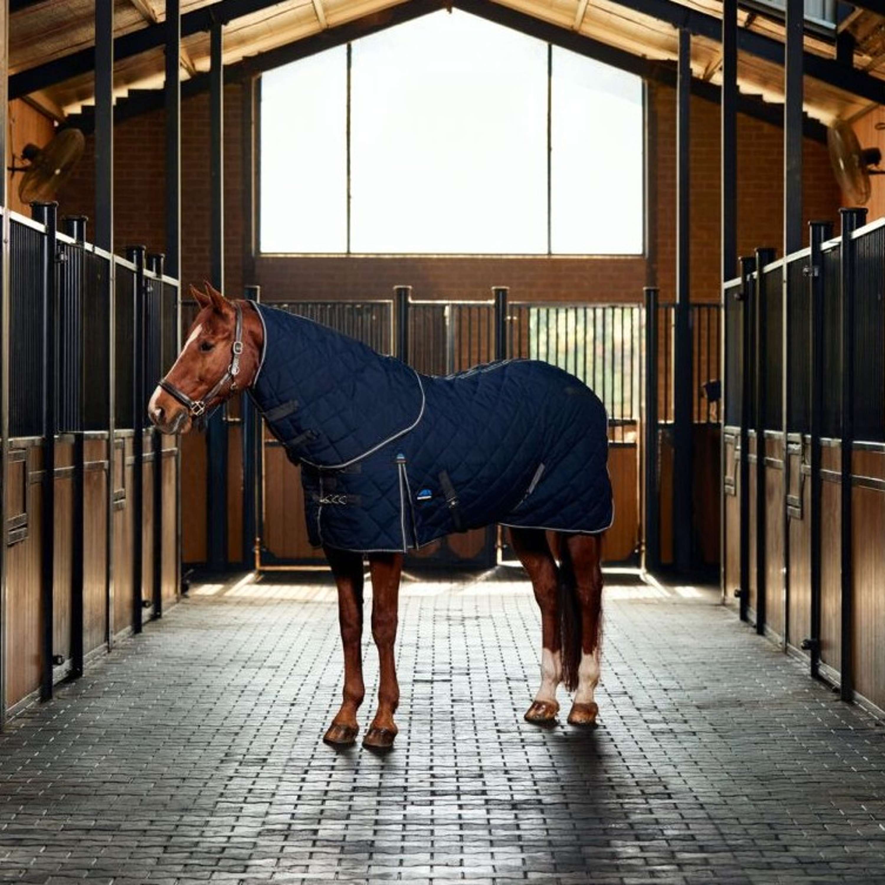 WeatherBeeta Stable Rug ComFiTec 100D Diamond Quilt Detach-A-Neck 220g Navy/Charcoal