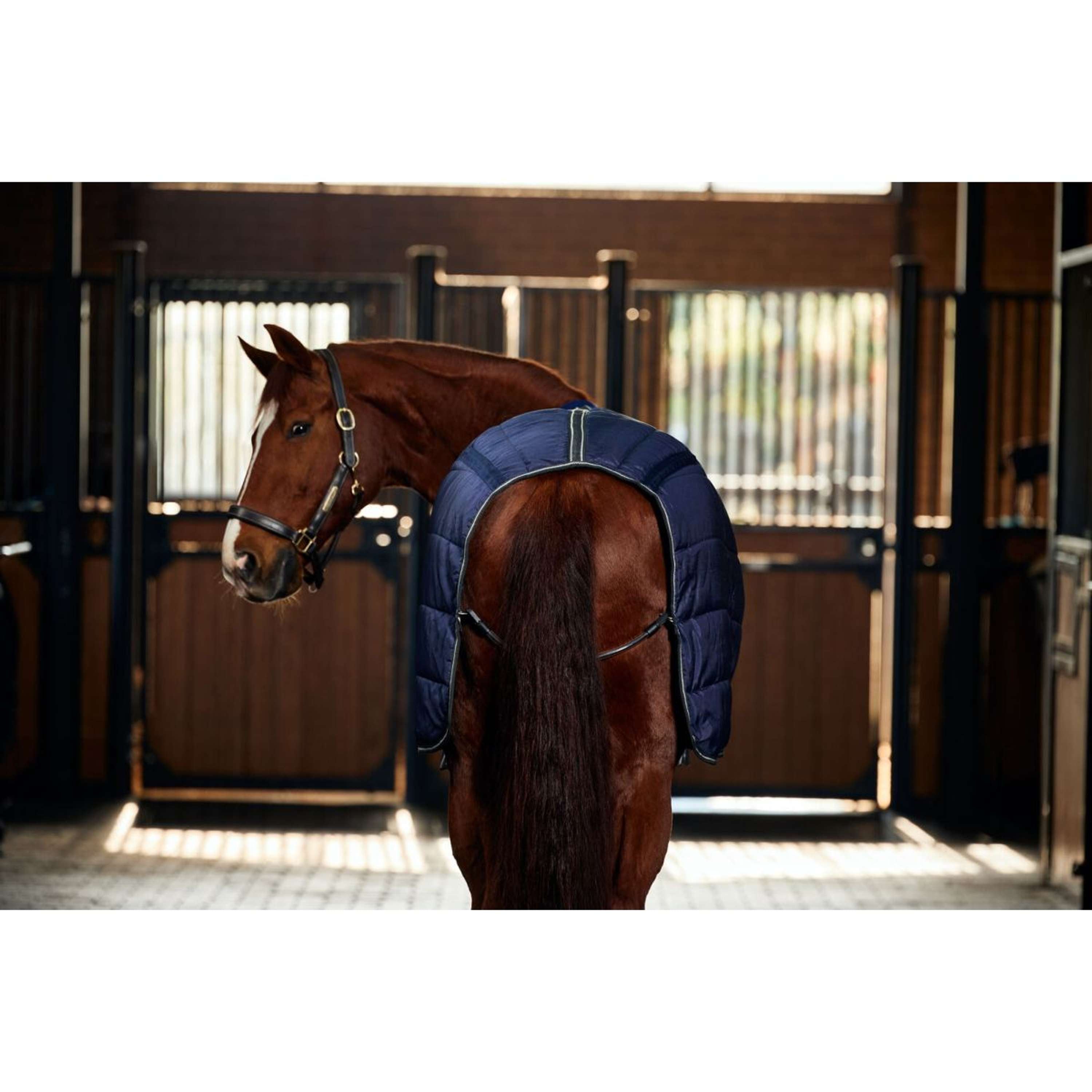 WeatherBeeta Stable Rug ComFiTec PP Channel Quilt Detach-A-Neck 220g Navy/Charcoal