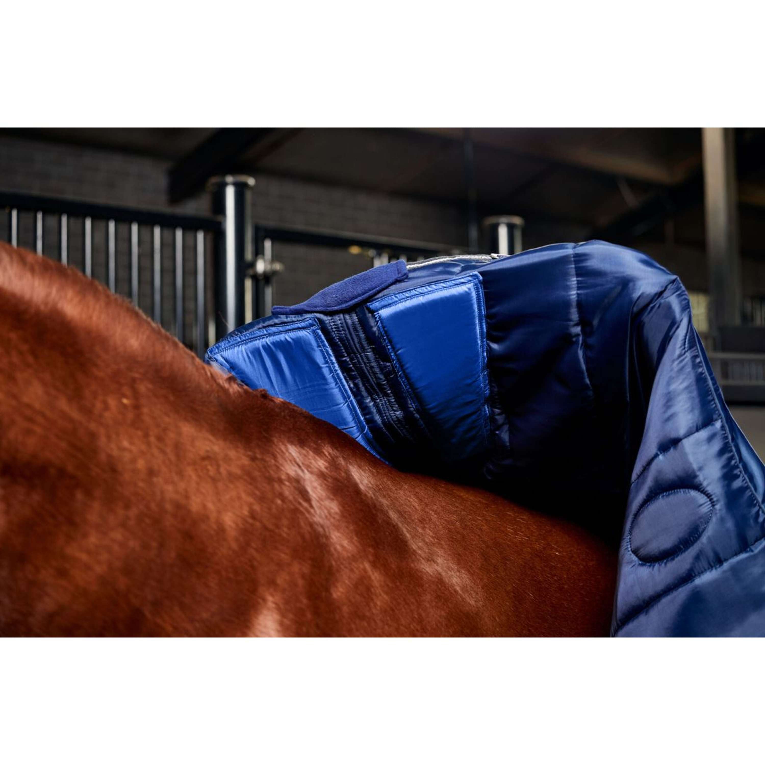 WeatherBeeta Stable Rug ComFiTec PP Channel Quilt Detach-A-Neck 220g Navy/Charcoal