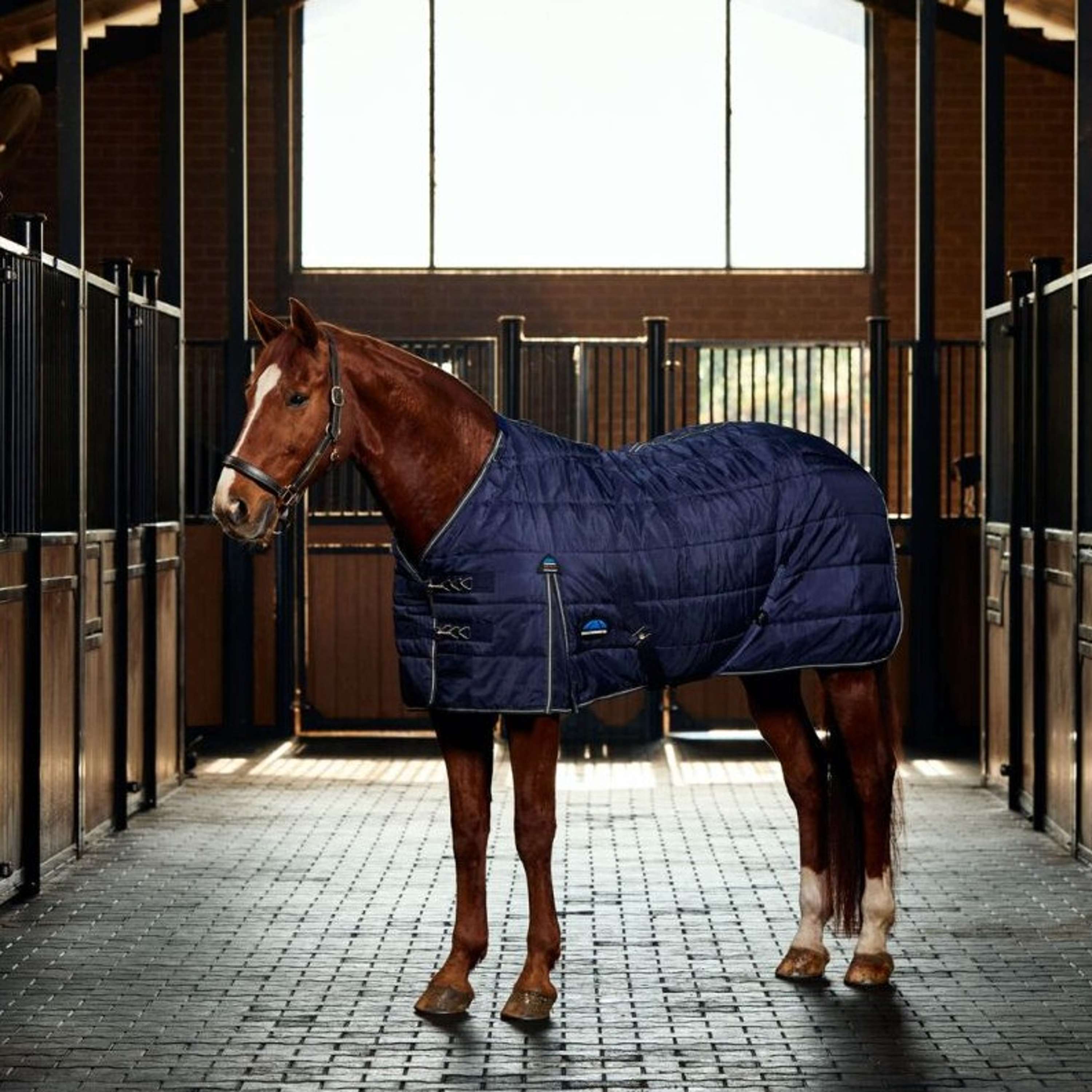WeatherBeeta Stable Rug ComFiTec PP Channel Quilt Detach-A-Neck 220g Navy/Charcoal