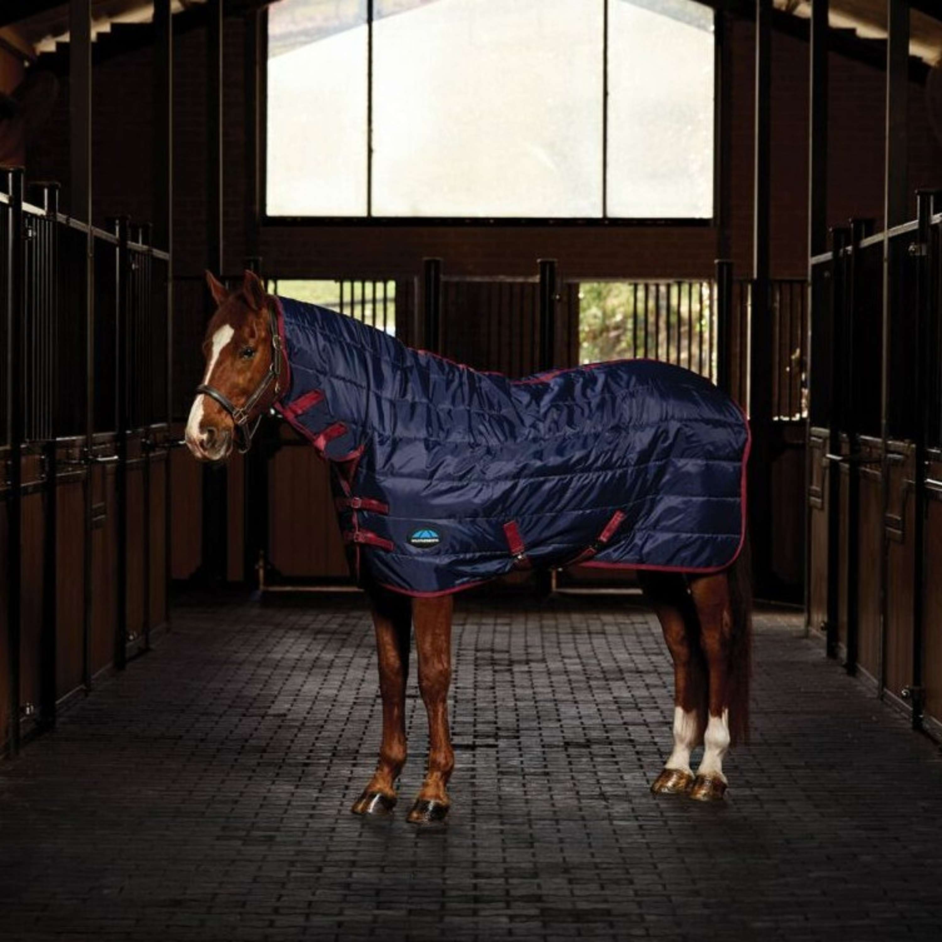 WeatherBeeta Stable Rug ComFiTec 210D Channel Quilt Combo Neck 100g Navy/Burgundy