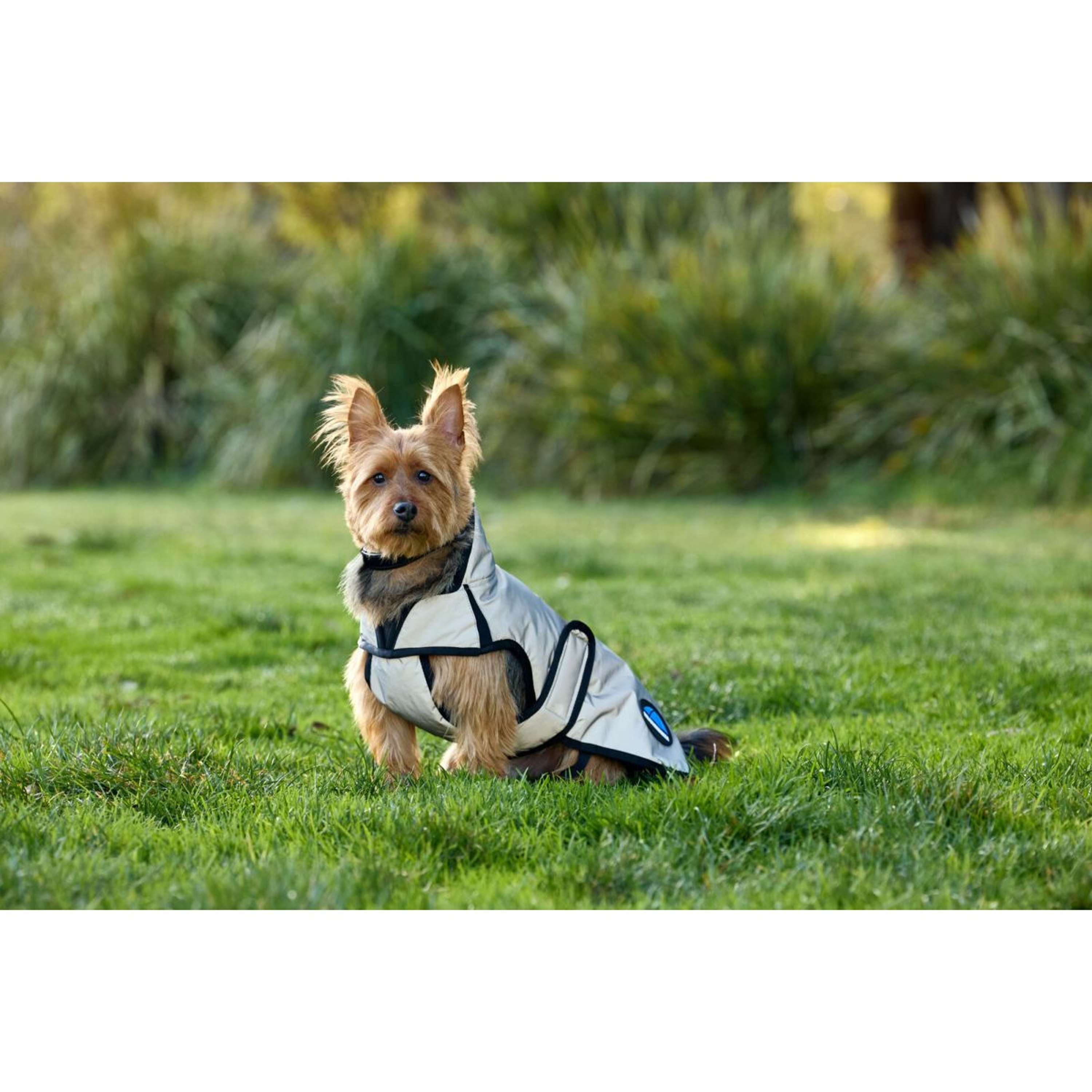 WeatherBeeta Dog Rug ComFiTec Reflective Showerproof Silver