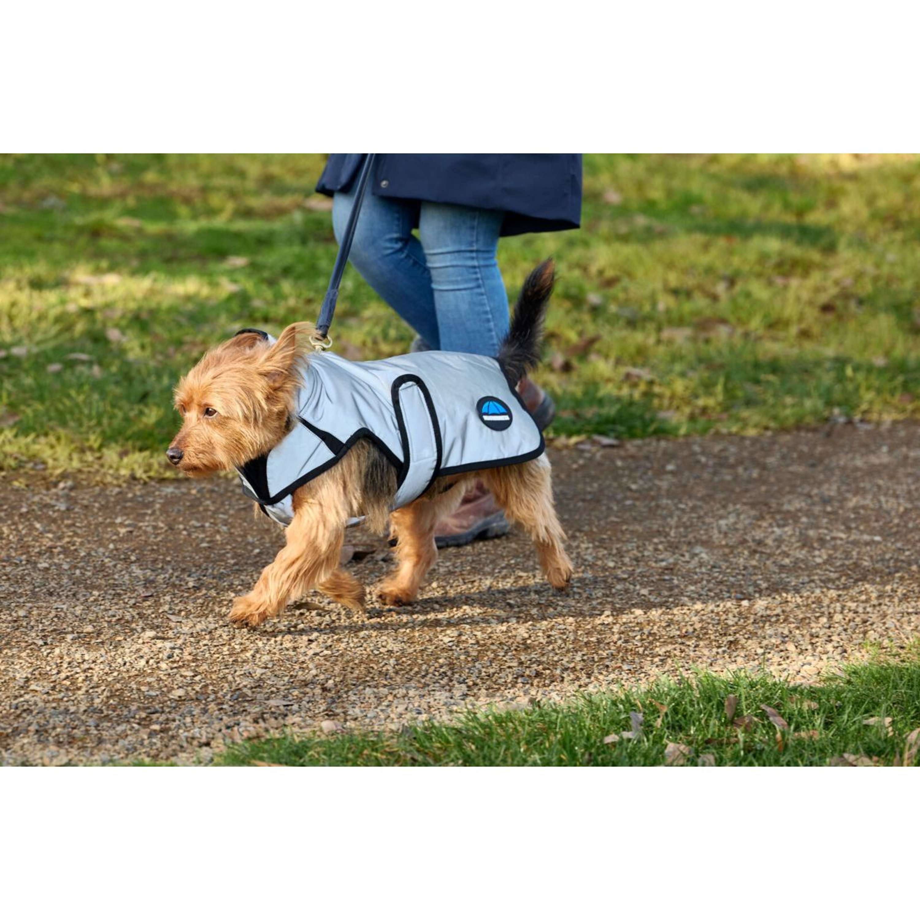 WeatherBeeta Dog Rug ComFiTec Reflective Showerproof Silver