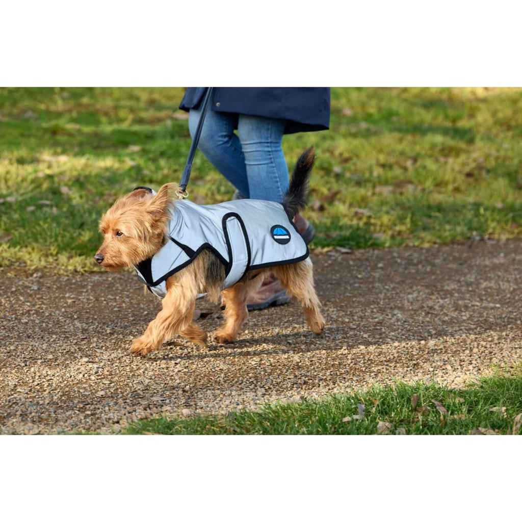 WeatherBeeta Dog Rug ComFiTec Reflective Showerproof Silver