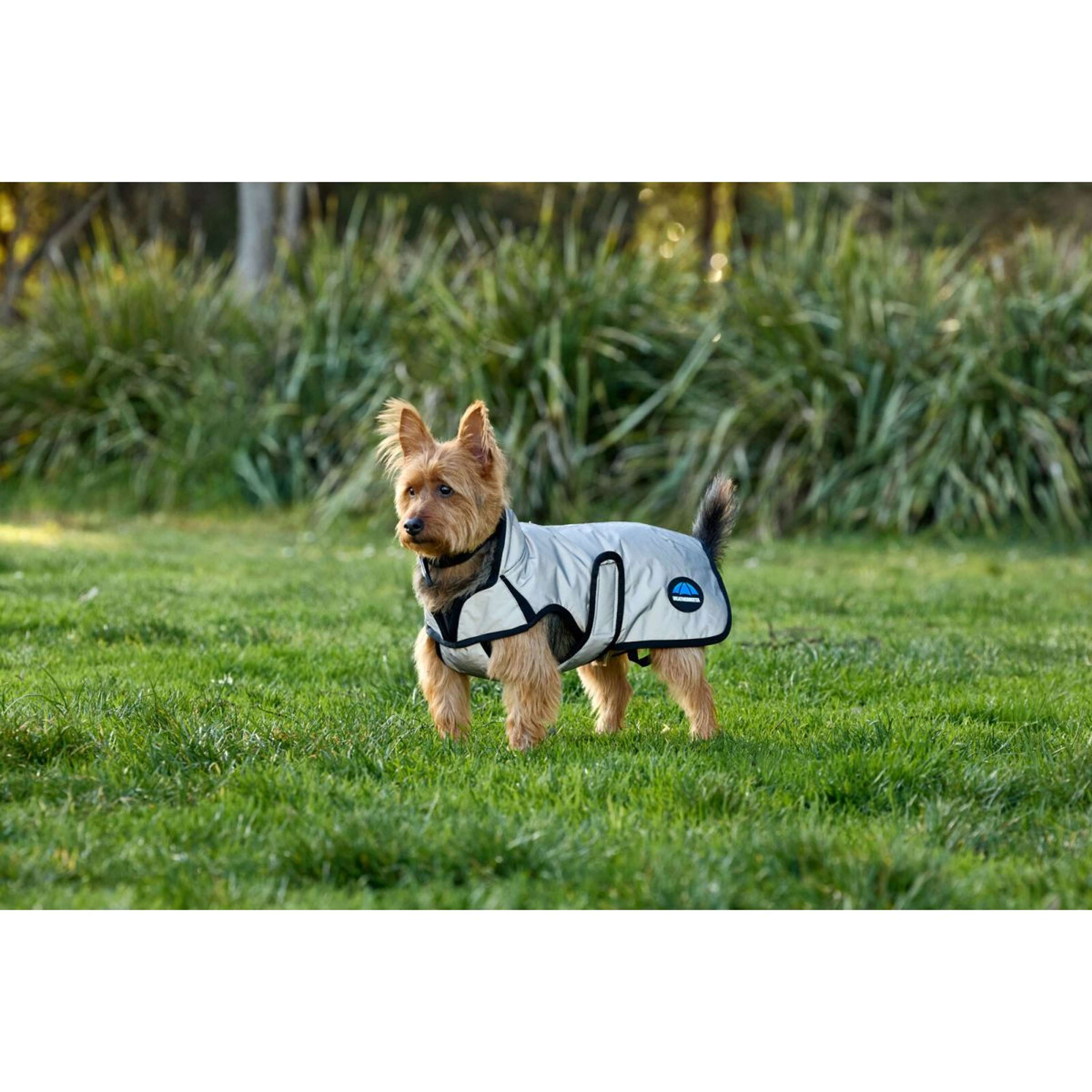 WeatherBeeta Dog Rug ComFiTec Reflective Showerproof Silver