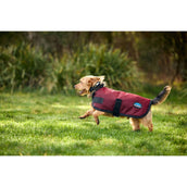 WeatherBeeta Dog Rug ComFiTec Classic Waterproof Burgundy